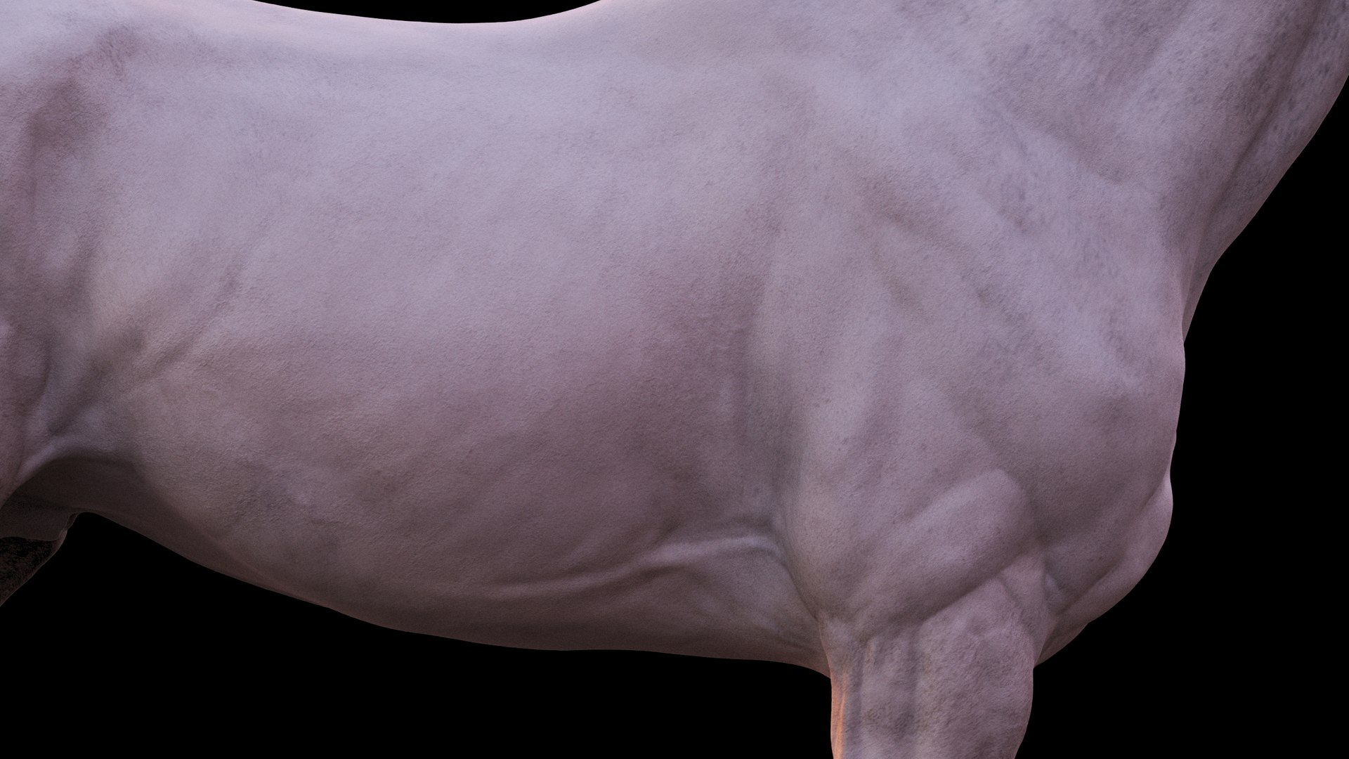 Horse 3 colors ZBrush model https://p.turbosquid.com/ts-thumb/8Z/1pxsgu/5r/1110/jpg/1655411828/1920x1080/fit_q87/9800fe3373f99592164b43c0b25c0faefc41249c/1110.jpg