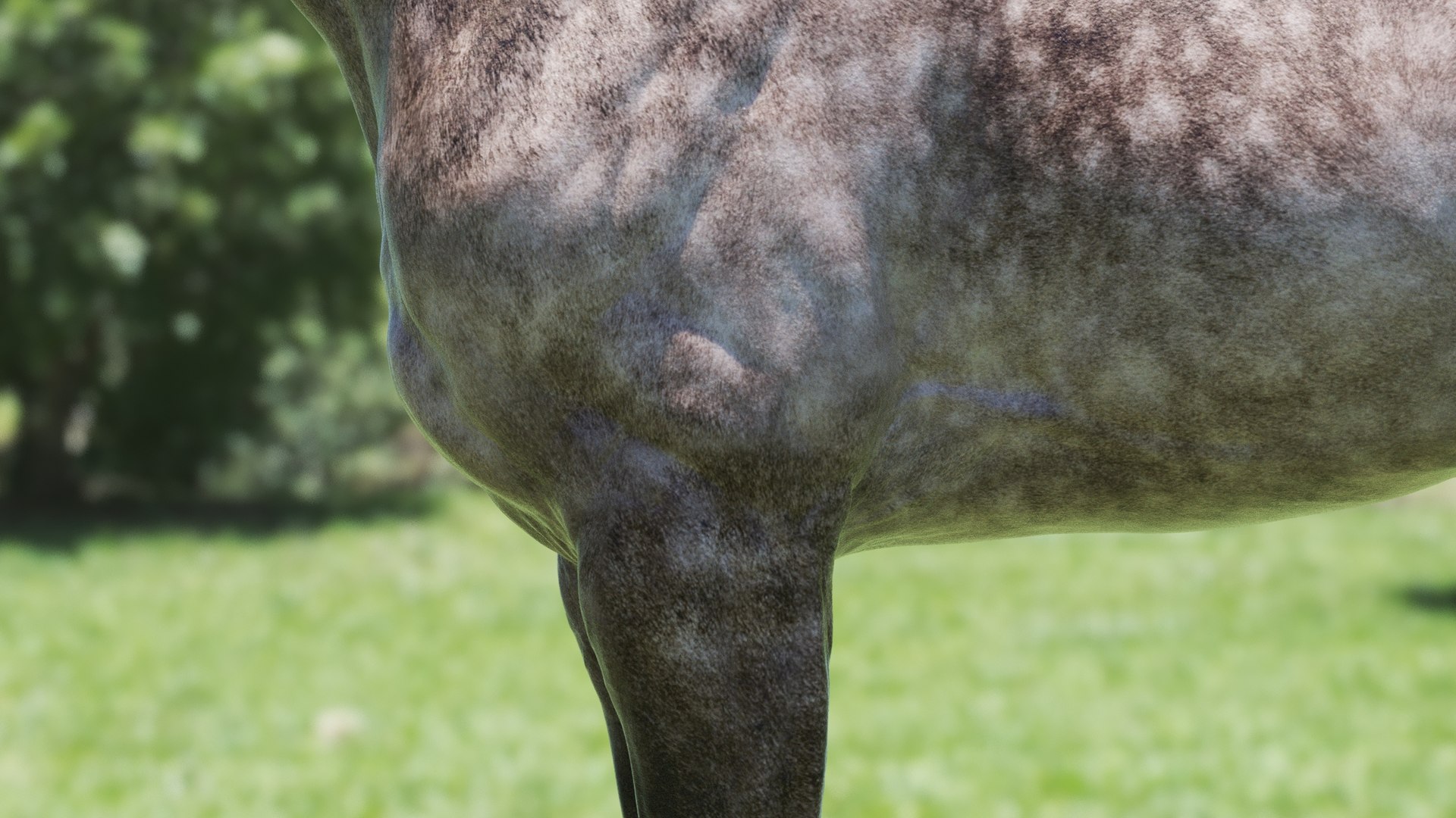 Horse 3 colors ZBrush model https://p.turbosquid.com/ts-thumb/8Z/1pxsgu/6F/q9/jpg/1655411681/1920x1080/fit_q87/cda6f93e23825c91ca6a010c93a942cc9b3e5b76/q9.jpg
