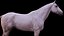 말 3색 ZBrush