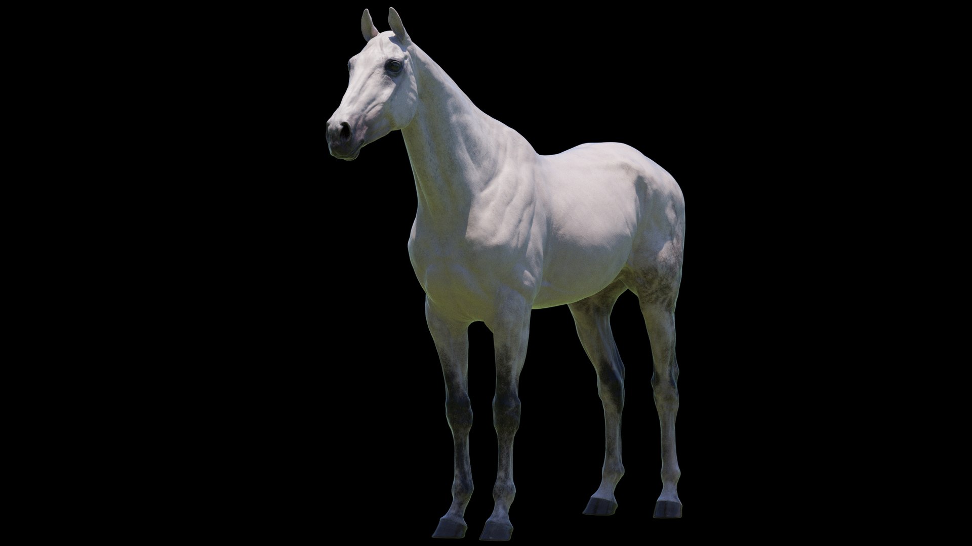 Horse 3 colors ZBrush model https://p.turbosquid.com/ts-thumb/8Z/1pxsgu/8q/w14/jpg/1655411785/1920x1080/fit_q87/9d364644aa6867619c48f2c48c10ea84d63950cd/w14.jpg