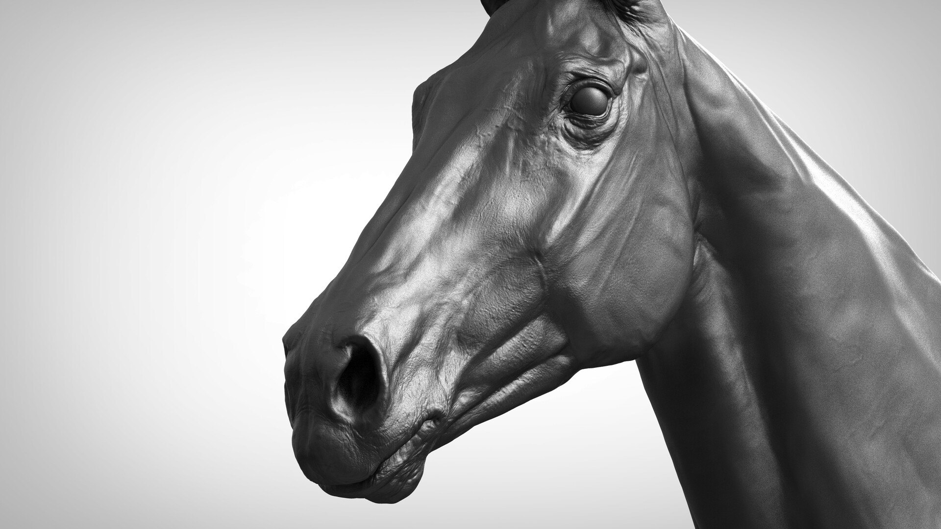 Horse 3 colors ZBrush model https://p.turbosquid.com/ts-thumb/8Z/1pxsgu/De/a_models33.jpgde8f915d99014c9e99218829f23e9ccczoom/jpg/1655411549/1920x1080/fit_q87/e373f62b57404fae08493e527ce11083a94029fa/a_models33.jpgde8f915d99014c9e99218829f23e9ccczoom.jpg