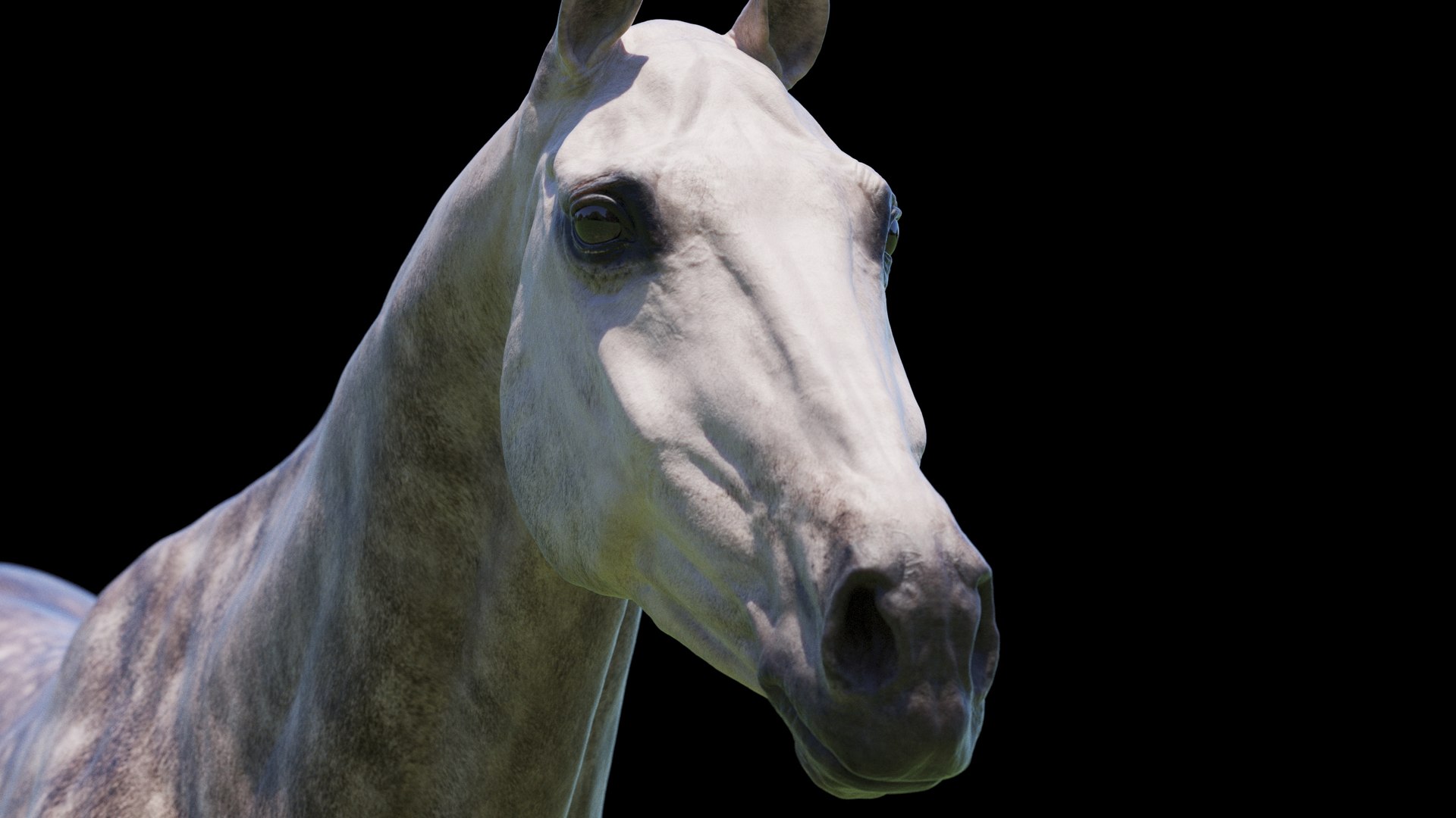Horse 3 colors ZBrush model https://p.turbosquid.com/ts-thumb/8Z/1pxsgu/Jo/q17/jpg/1655411685/1920x1080/fit_q87/6388a5896662792e632311185a19dcf583303c9d/q17.jpg