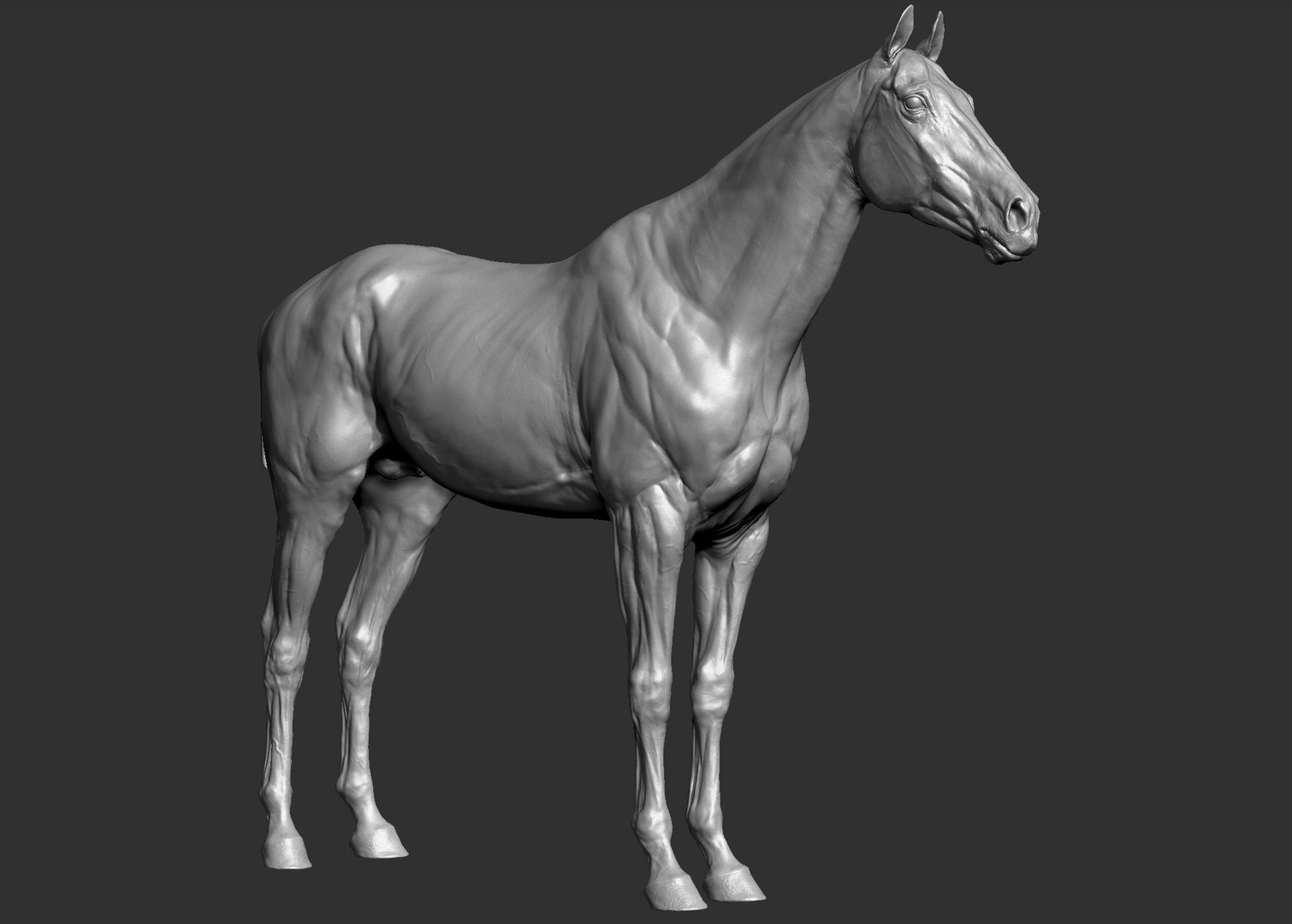 Horse 3 colors ZBrush model https://p.turbosquid.com/ts-thumb/8Z/1pxsgu/L0/4.jpg276a0955ef974157bdd7ff836b07ca19zoom/jpg/1655411619/1920x1080/fit_q87/49fa23d1c6b9f602292f7d2c024ef60c6c2e86be/4.jpg276a0955ef974157bdd7ff836b07ca19zoom.jpg