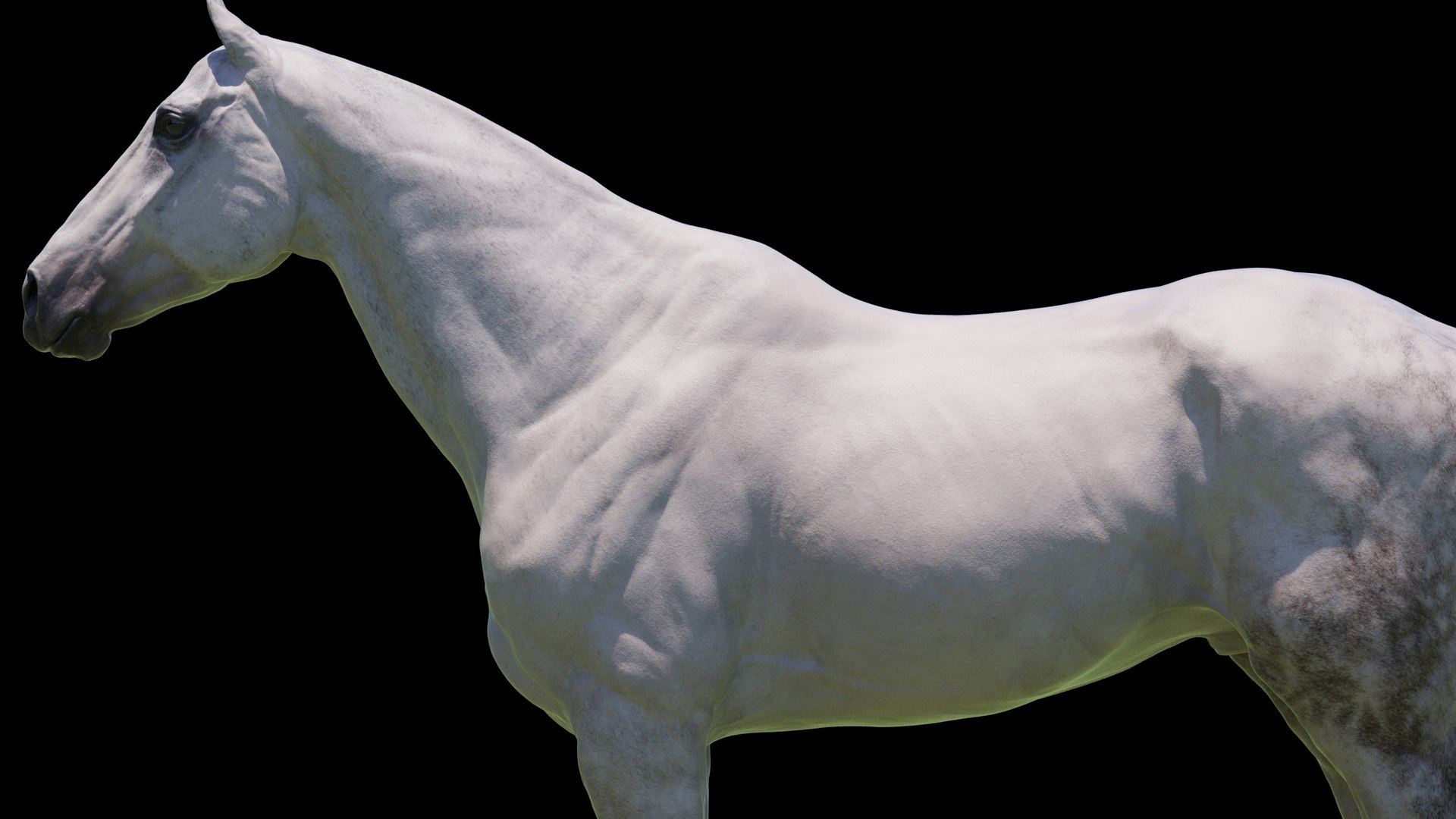 Horse 3 colors ZBrush model https://p.turbosquid.com/ts-thumb/8Z/1pxsgu/LE/6/jpg/1655411178/1920x1080/fit_q87/eb4353f61a26716eea669d1d990d4314fbef5ec1/6.jpg