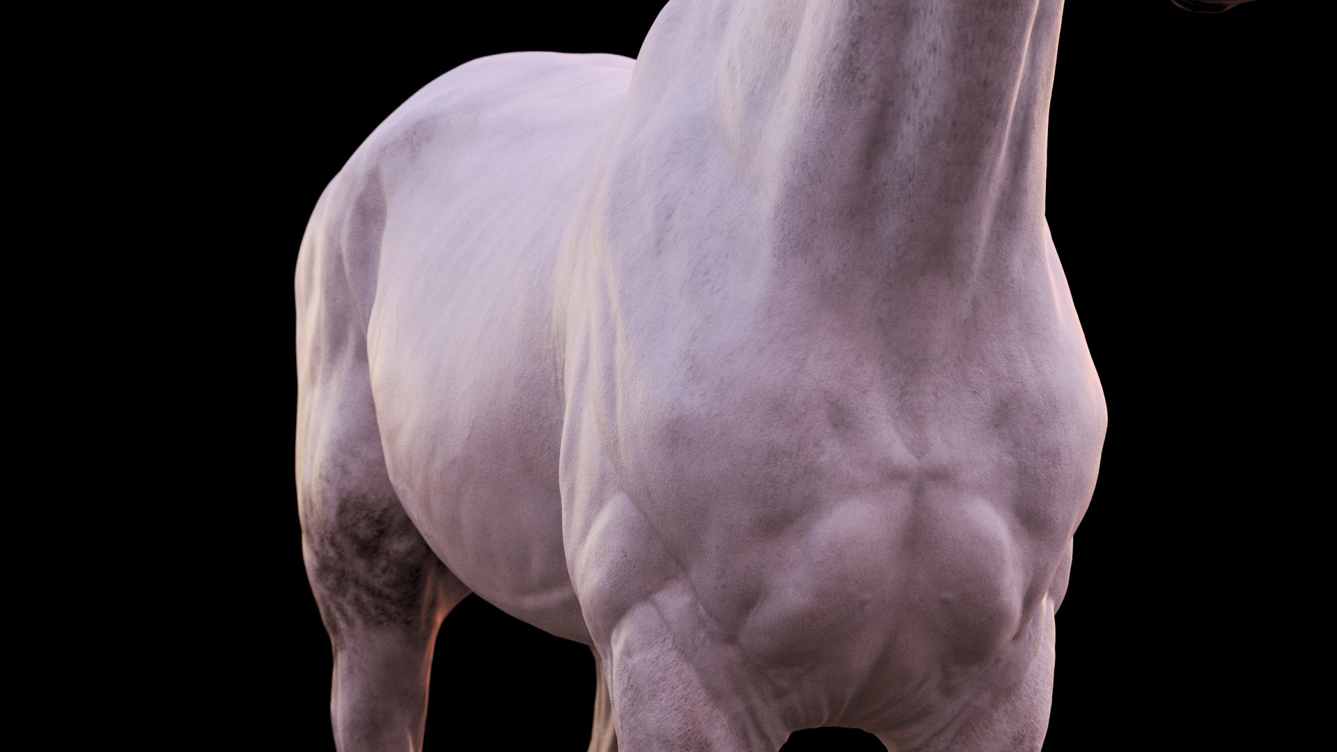 Horse 3 colors ZBrush model https://p.turbosquid.com/ts-thumb/8Z/1pxsgu/M5/11120/jpg/1655411829/1920x1080/fit_q87/1e5cd3125ebc48b4b480ef487e553256475e84f5/11120.jpg