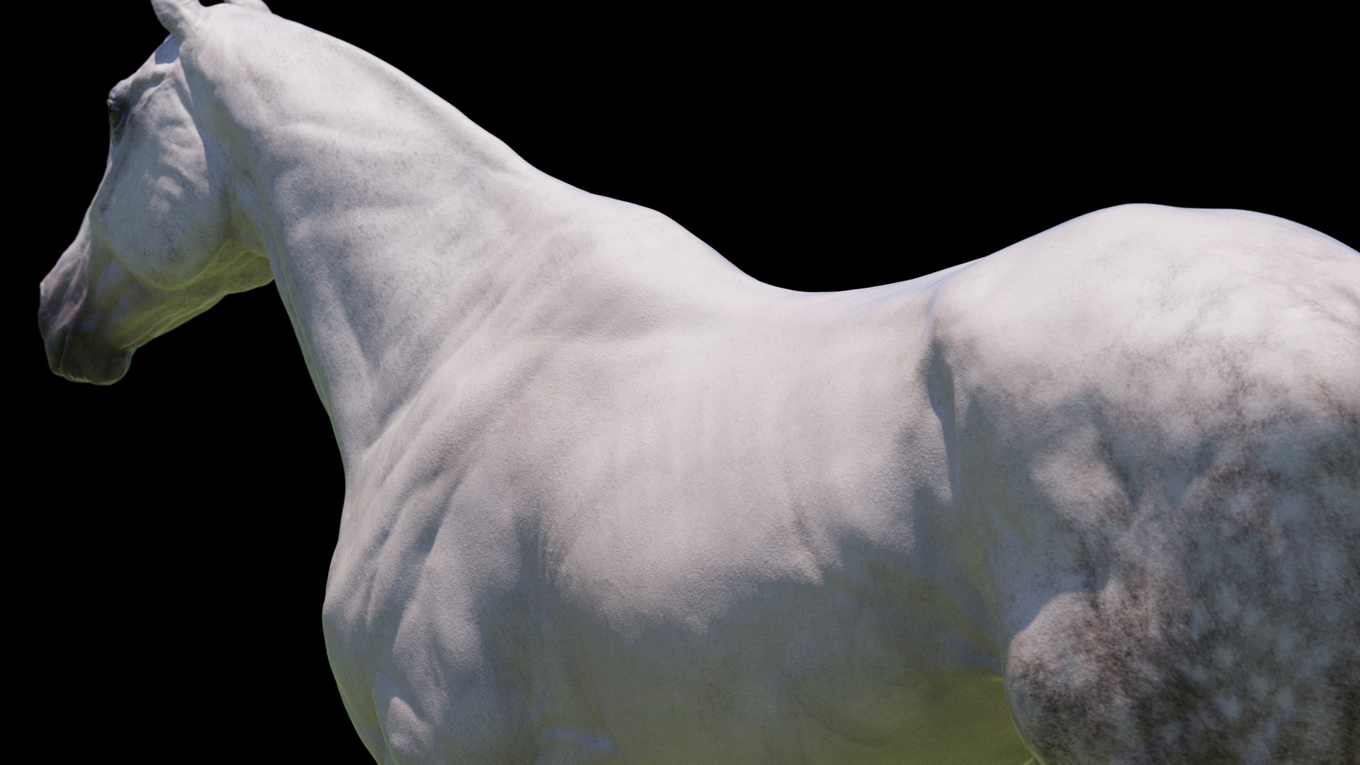 Horse 3 colors ZBrush model https://p.turbosquid.com/ts-thumb/8Z/1pxsgu/ME/w10/jpg/1655411785/1920x1080/fit_q87/cc3131bad48c1d800832463c5e2ee25d36adb133/w10.jpg