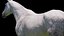말 3색 ZBrush