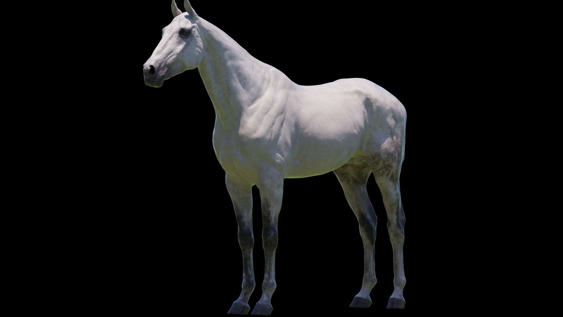 Horse 3 colors ZBrush model https://p.turbosquid.com/ts-thumb/8Z/1pxsgu/Oh/w12/jpg/1655411785/1920x1080/fit_q87/6acbc451bbb78de391dcb4422ddaef53c18b54f4/w12.jpg