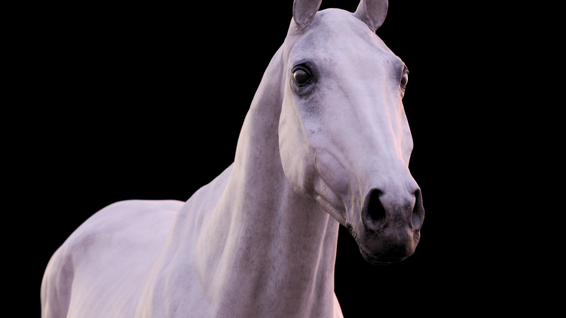 Horse 3 colors ZBrush model https://p.turbosquid.com/ts-thumb/8Z/1pxsgu/QR/11122/jpg/1655411830/1920x1080/fit_q87/8ecc8d5a079c69fbbcdf2a84afafd62711b0f750/11122.jpg