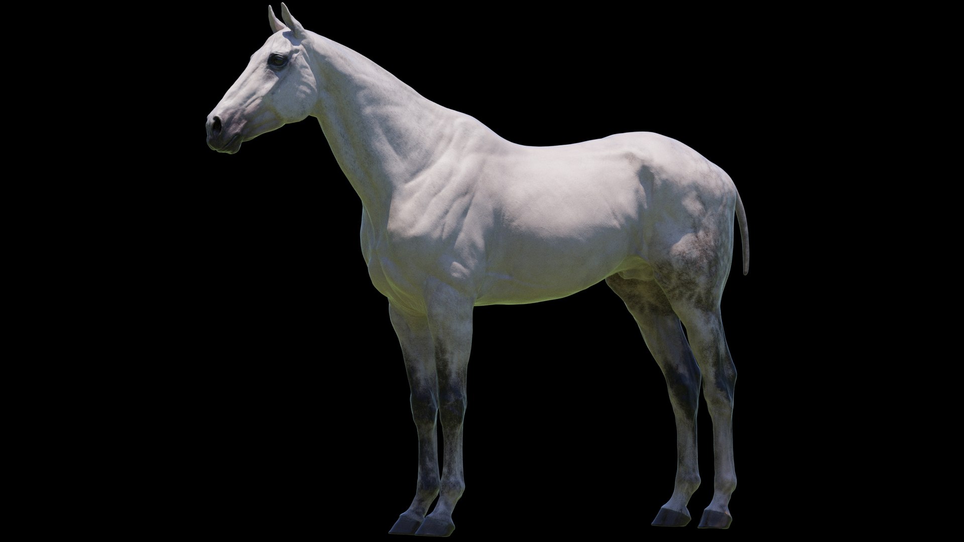 Horse 3 colors ZBrush model https://p.turbosquid.com/ts-thumb/8Z/1pxsgu/Ws/w11/jpg/1655411784/1920x1080/fit_q87/cbaa7bd1ff32b2517f024d4b9022a3faad23f9df/w11.jpg