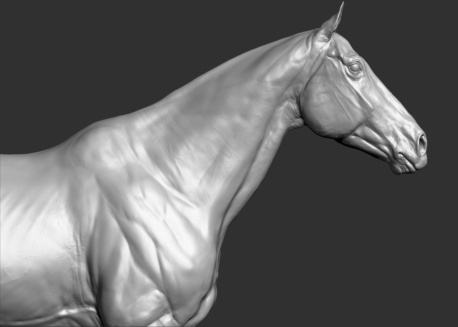 Horse 3 colors ZBrush model https://p.turbosquid.com/ts-thumb/8Z/1pxsgu/XM/2.jpg6ee78c3b79844e7d90228eb53fbf549dzoom/jpg/1655411619/1920x1080/fit_q87/3ed68e86c5656714c330d9396bf0673df5815863/2.jpg6ee78c3b79844e7d90228eb53fbf549dzoom.jpg