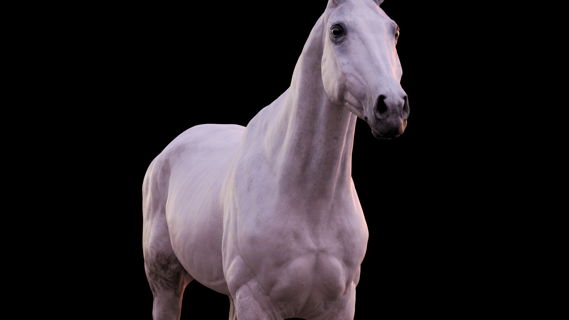 Horse 3 colors ZBrush model https://p.turbosquid.com/ts-thumb/8Z/1pxsgu/Xz/119/jpg/1655411826/1920x1080/fit_q87/c0e1c9605550a9106bb446096b958e366dcfbeca/119.jpg