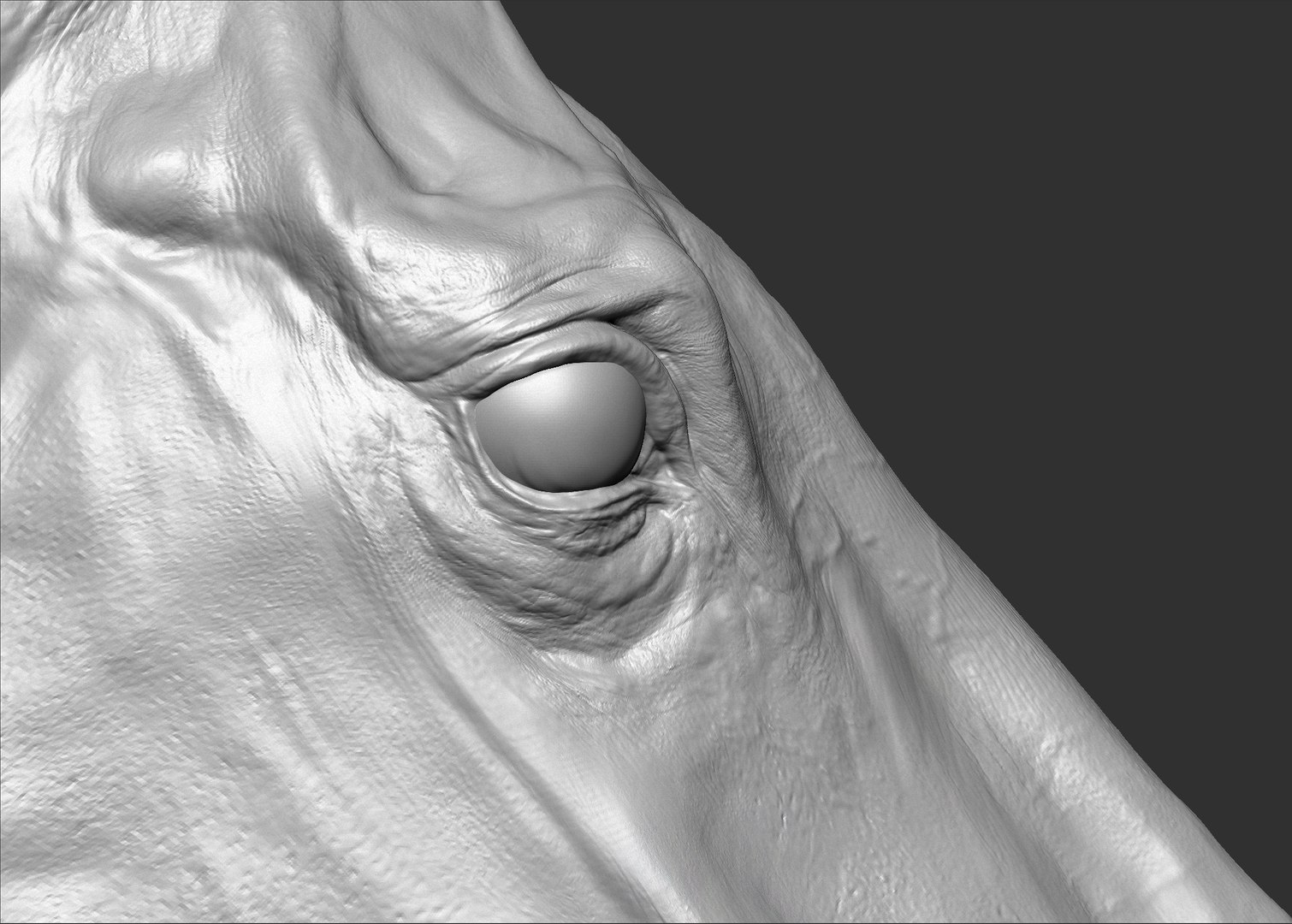 Horse 3 colors ZBrush model https://p.turbosquid.com/ts-thumb/8Z/1pxsgu/al/15.jpg0a5e3c1ac62f421c94e4fb7909ff3bdazoom/jpg/1655411623/1920x1080/fit_q87/2390166a9dd9ba775dce077cd4e20d83d5b181d0/15.jpg0a5e3c1ac62f421c94e4fb7909ff3bdazoom.jpg