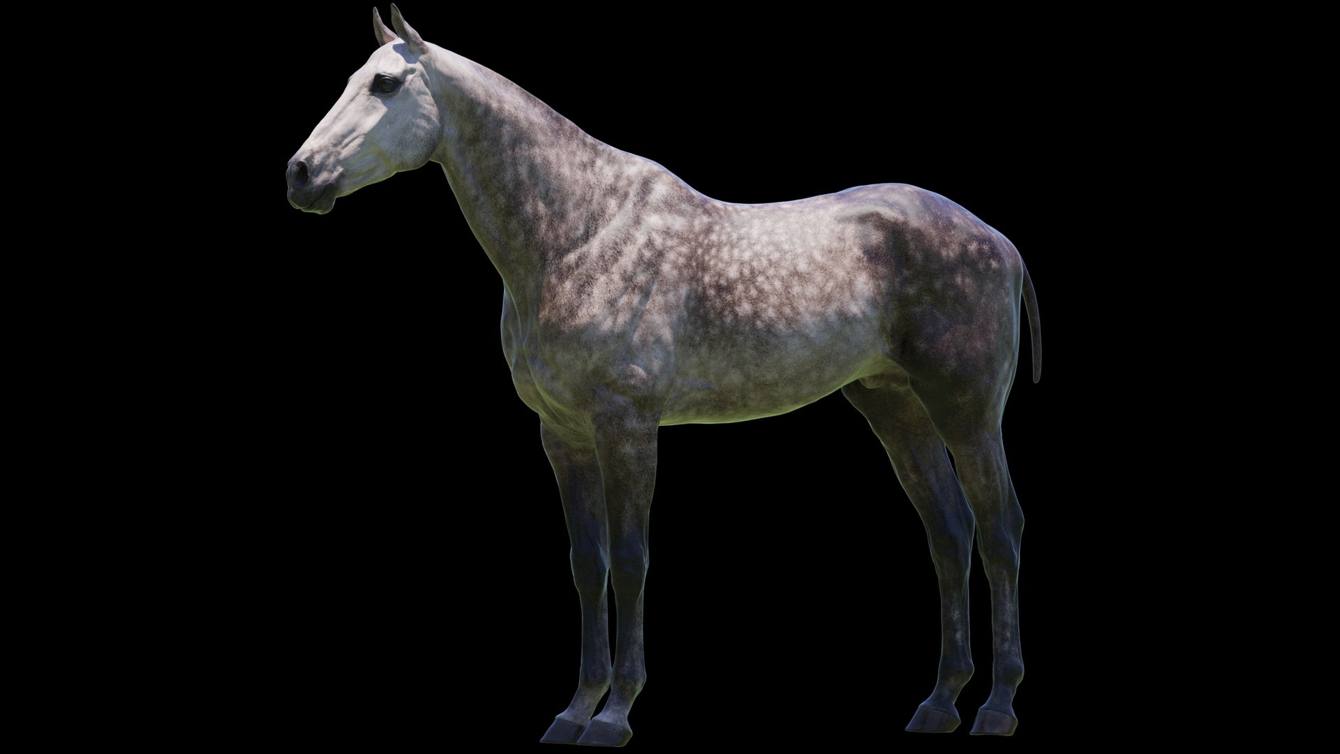 Horse 3 colors ZBrush model https://p.turbosquid.com/ts-thumb/8Z/1pxsgu/dS/q11/jpg/1655411679/1920x1080/fit_q87/ecefd157b2f4821ce3ab88a898954252d90d1956/q11.jpg