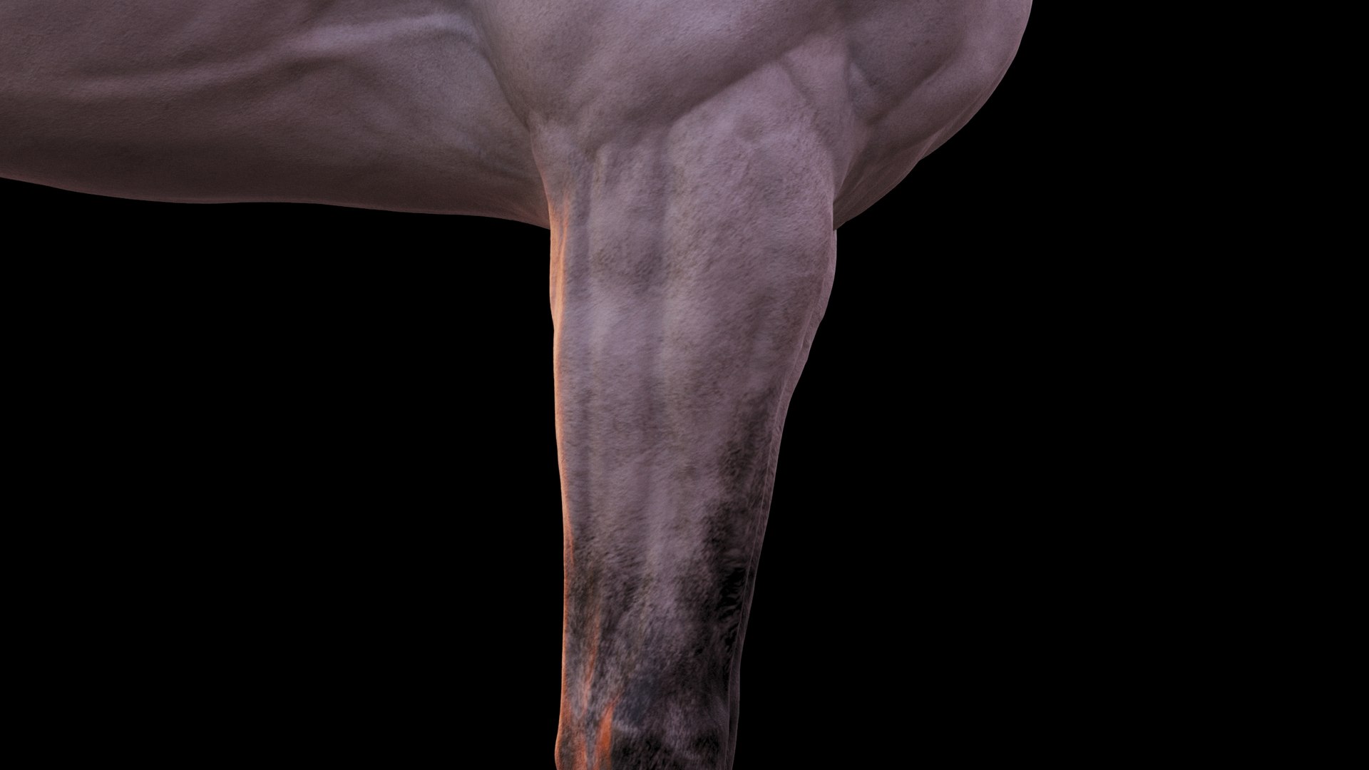 Horse 3 colors ZBrush model https://p.turbosquid.com/ts-thumb/8Z/1pxsgu/e3/1111/jpg/1655411827/1920x1080/fit_q87/8f8df8ef495e95ff058ff85418e5be2ed99d5e3c/1111.jpg