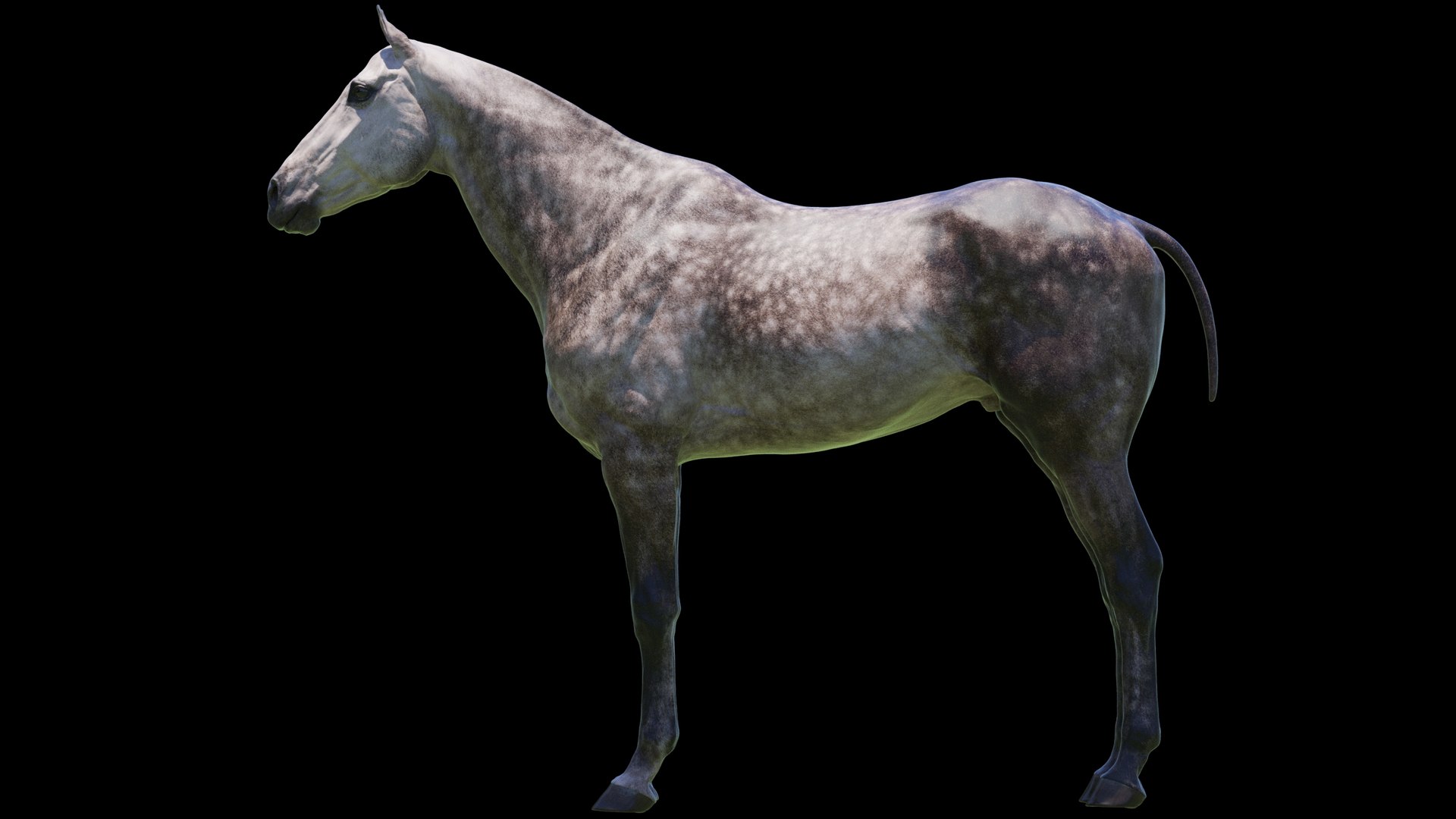 Horse 3 colors ZBrush model https://p.turbosquid.com/ts-thumb/8Z/1pxsgu/ec/q6/jpg/1655411677/1920x1080/fit_q87/82c117007c180640954d7e0d7edb68e847bb73bc/q6.jpg