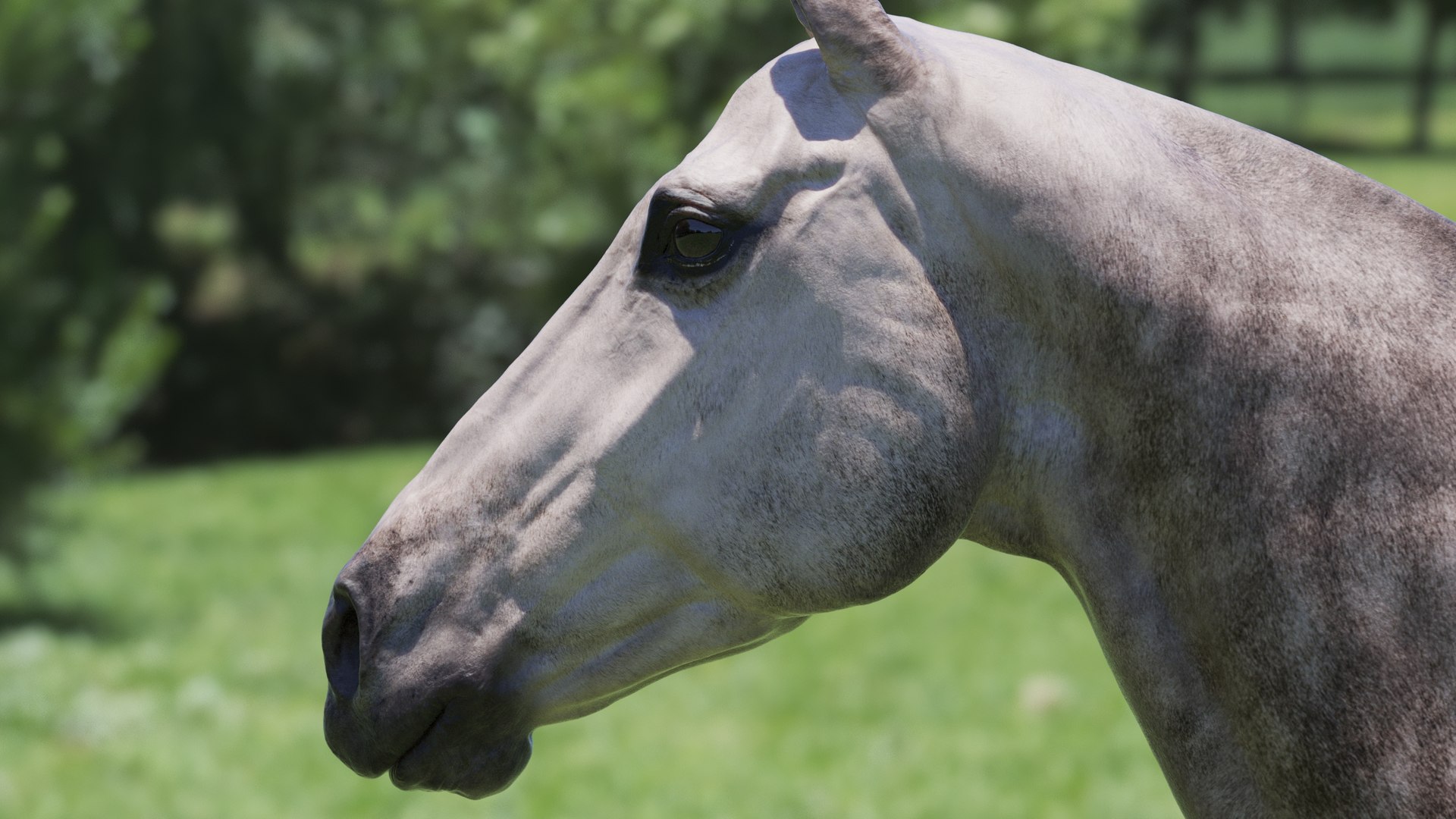 Horse 3 colors ZBrush model https://p.turbosquid.com/ts-thumb/8Z/1pxsgu/jG/q1/jpg/1655411654/1920x1080/fit_q87/f798722da01ed8beacfb5f1f3fdac5e82070e27a/q1.jpg