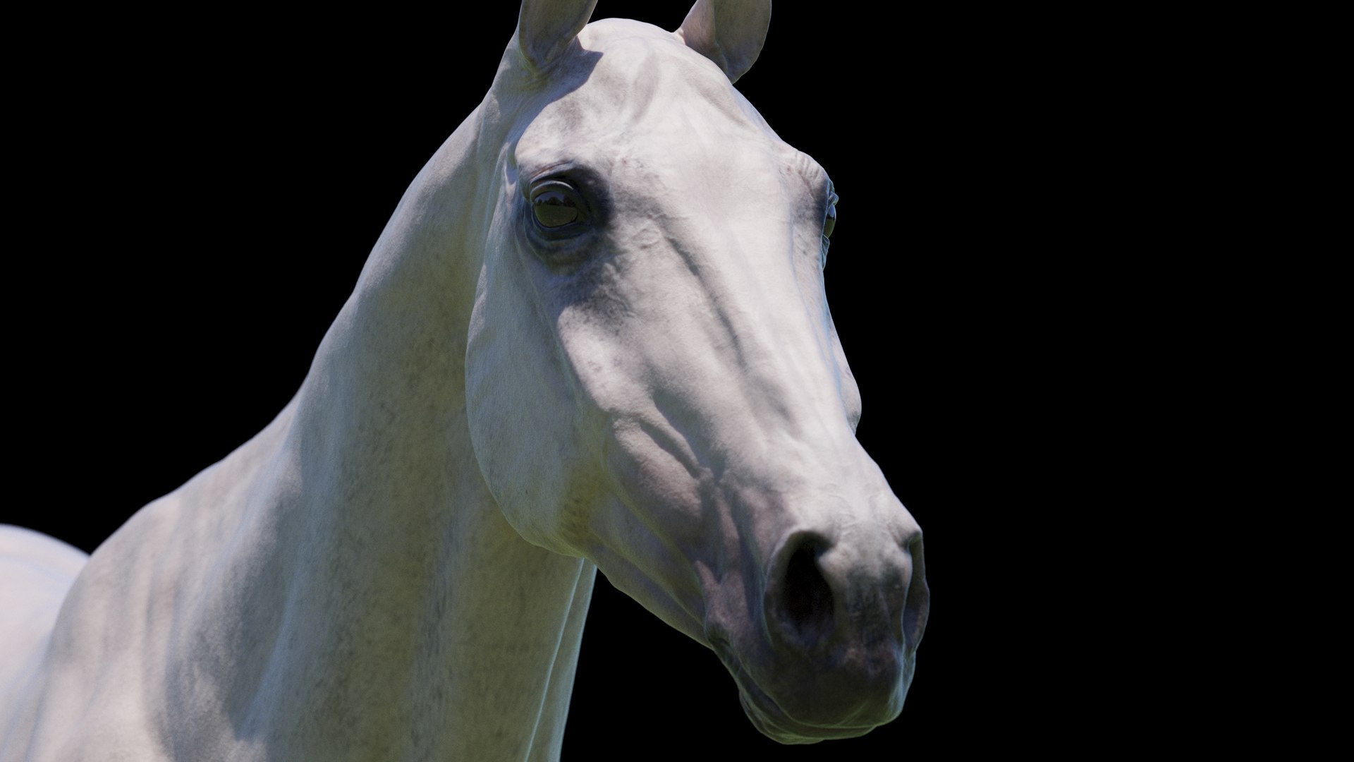 Horse 3 colors ZBrush model https://p.turbosquid.com/ts-thumb/8Z/1pxsgu/jY/w19/jpg/1655411788/1920x1080/fit_q87/9efdd5d982cda981042818b5d74e08a40918f1cc/w19.jpg