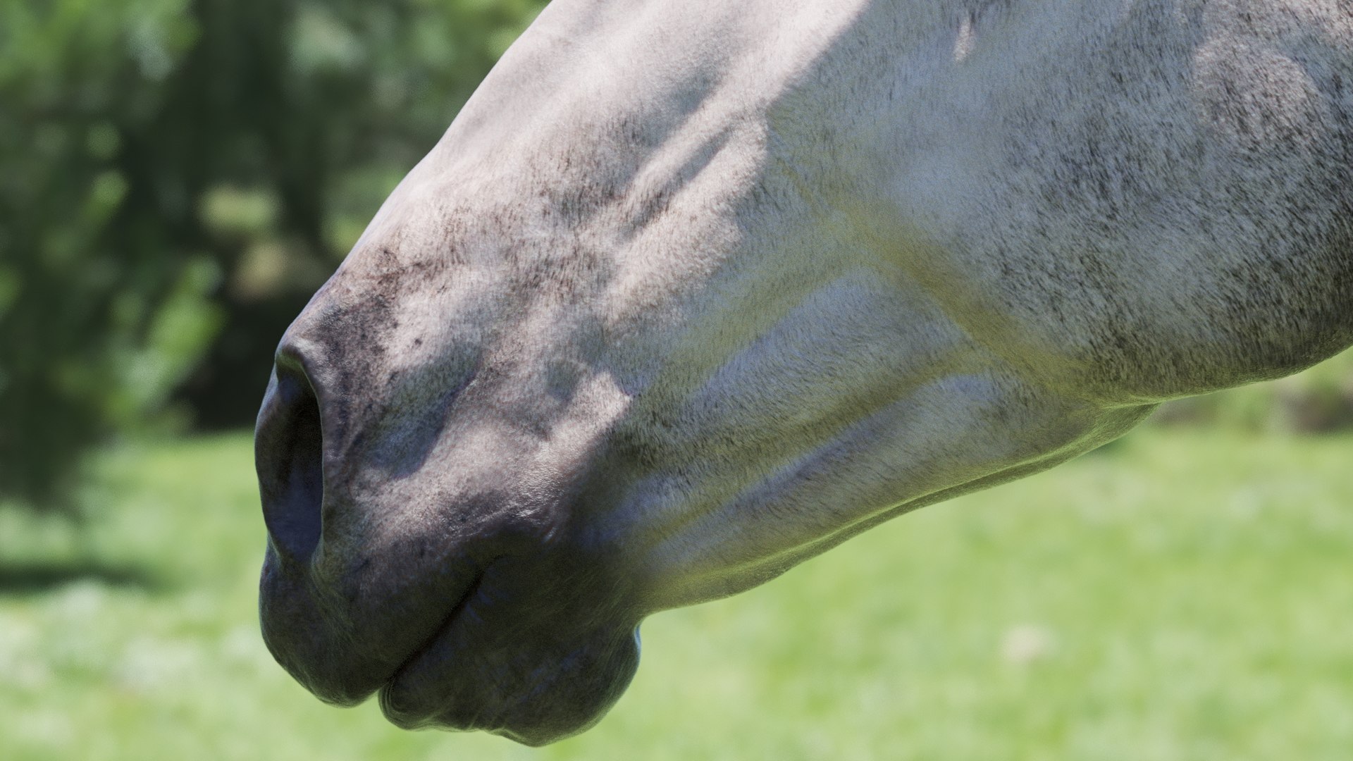 Horse 3 colors ZBrush model https://p.turbosquid.com/ts-thumb/8Z/1pxsgu/mx/q2/jpg/1655411655/1920x1080/fit_q87/2663eae0ba91b6242f8aed1310be7da658d84f0f/q2.jpg
