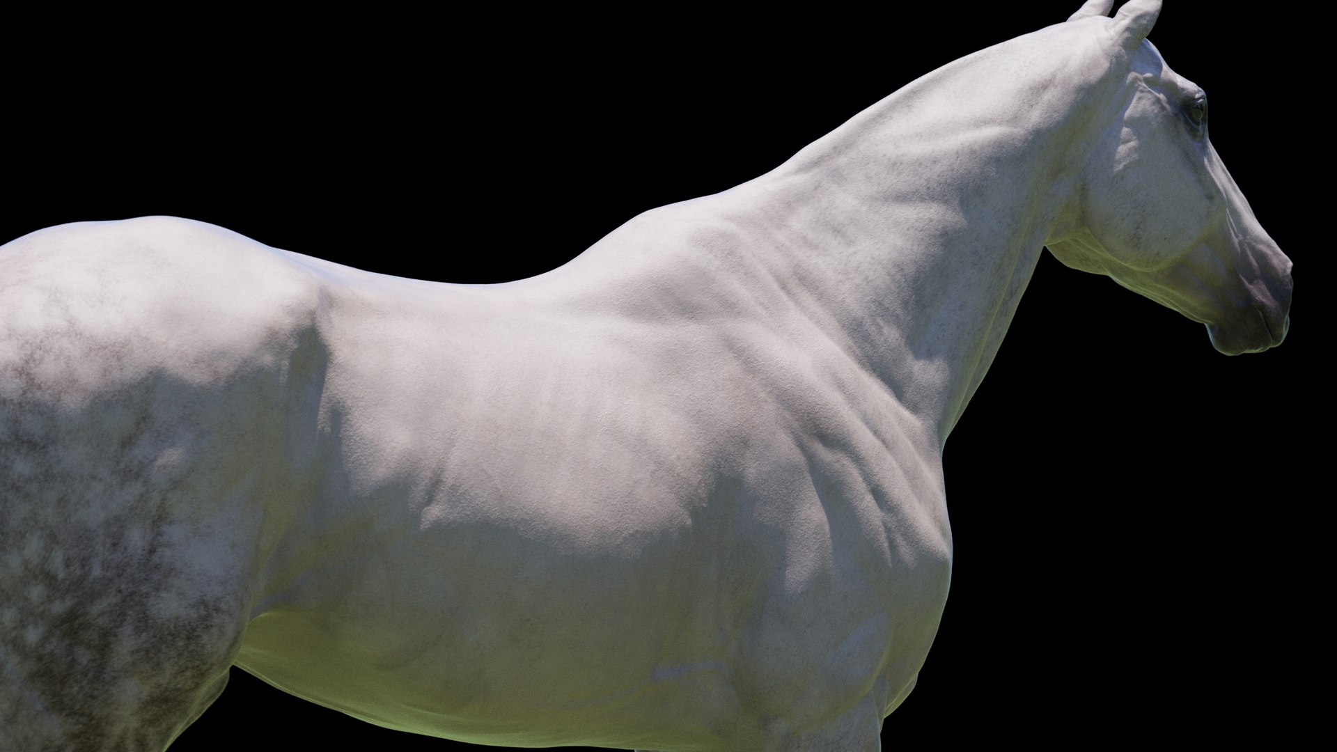 Horse 3 colors ZBrush model https://p.turbosquid.com/ts-thumb/8Z/1pxsgu/o8/w21/jpg/1655411790/1920x1080/fit_q87/771b02ba2e68a8626b6a13487b6feca58120d960/w21.jpg