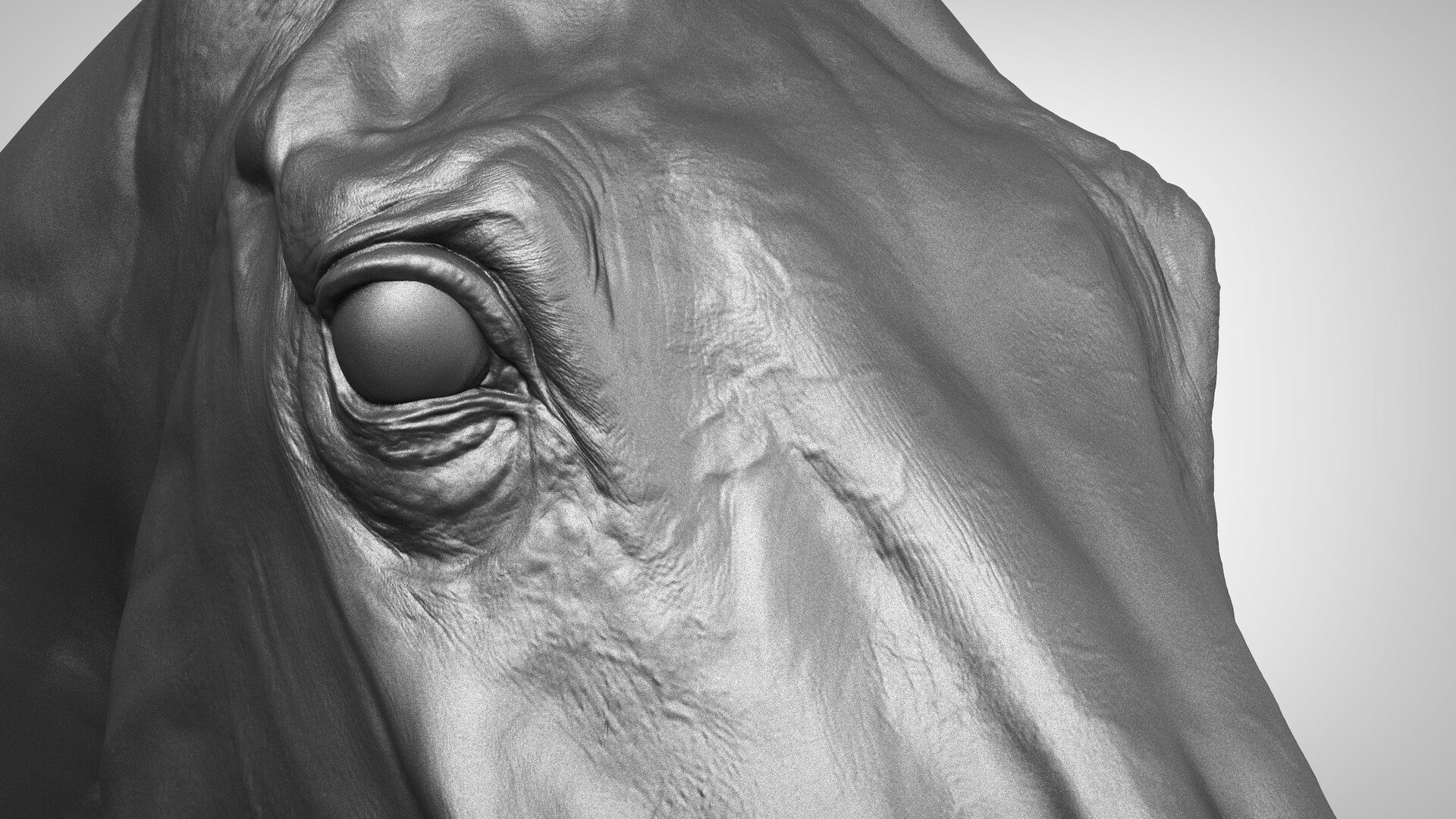 Horse 3 colors ZBrush model https://p.turbosquid.com/ts-thumb/8Z/1pxsgu/p5/a_models3.jpg63b5a312f9334d3d9dc82dd0997ddc1ezoom/jpg/1655411550/1920x1080/fit_q87/94855ef1275667f590a1621aa4cafb81ed804315/a_models3.jpg63b5a312f9334d3d9dc82dd0997ddc1ezoom.jpg