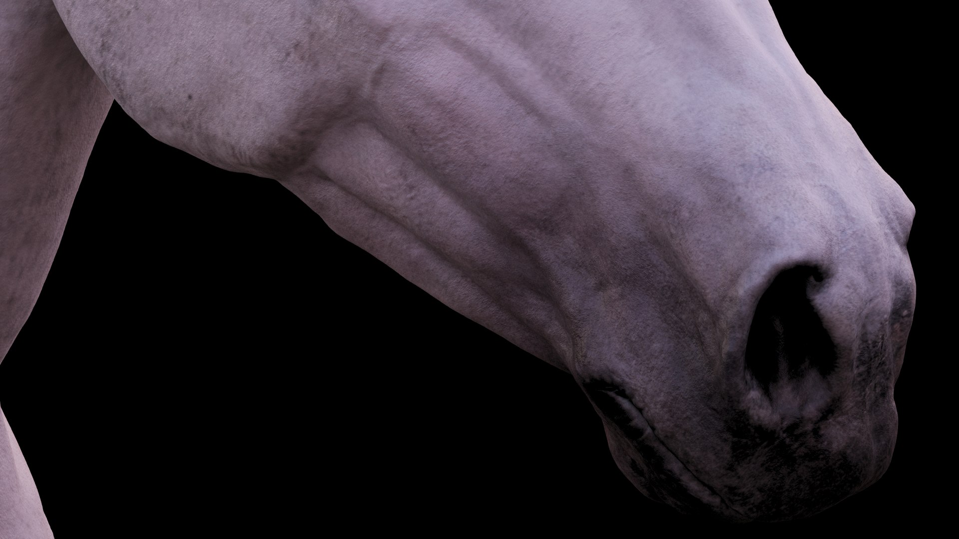 Horse 3 colors ZBrush model https://p.turbosquid.com/ts-thumb/8Z/1pxsgu/q1/116/jpg/1655411826/1920x1080/fit_q87/af0897ac76973d94d14728d2d12ff26127cc1644/116.jpg