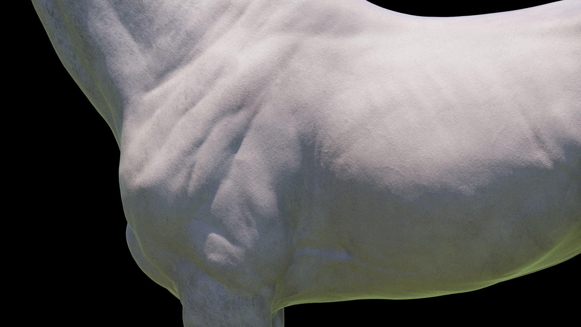 Horse 3 colors ZBrush model https://p.turbosquid.com/ts-thumb/8Z/1pxsgu/qI/w8/jpg/1655411783/1920x1080/fit_q87/674070d451928f3f38d9ed4a75d3acb4c219479d/w8.jpg