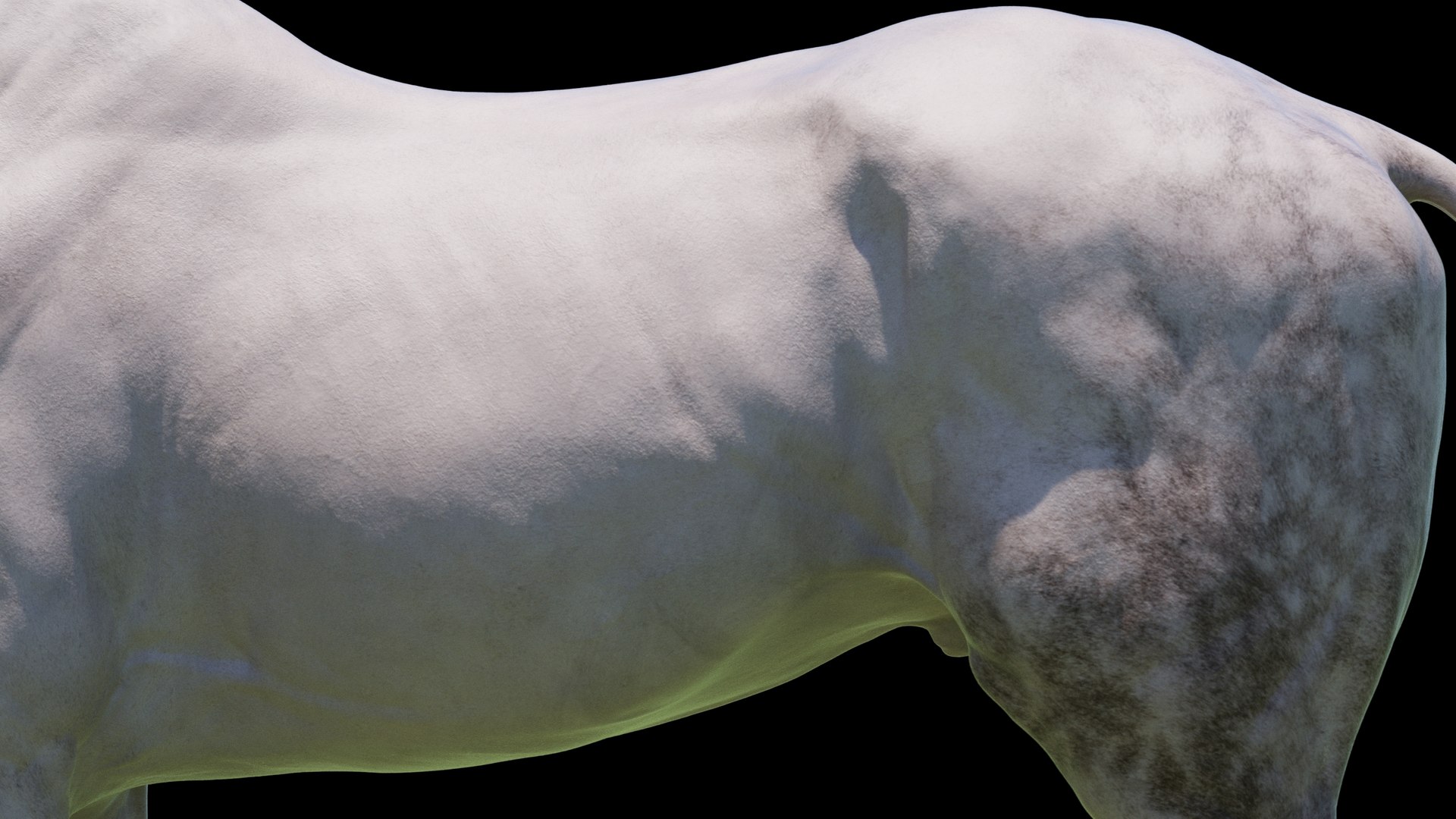 Horse 3 colors ZBrush model https://p.turbosquid.com/ts-thumb/8Z/1pxsgu/qi/w9/jpg/1655411783/1920x1080/fit_q87/528deb93389f80d8fa243692d54d844b6ea49290/w9.jpg