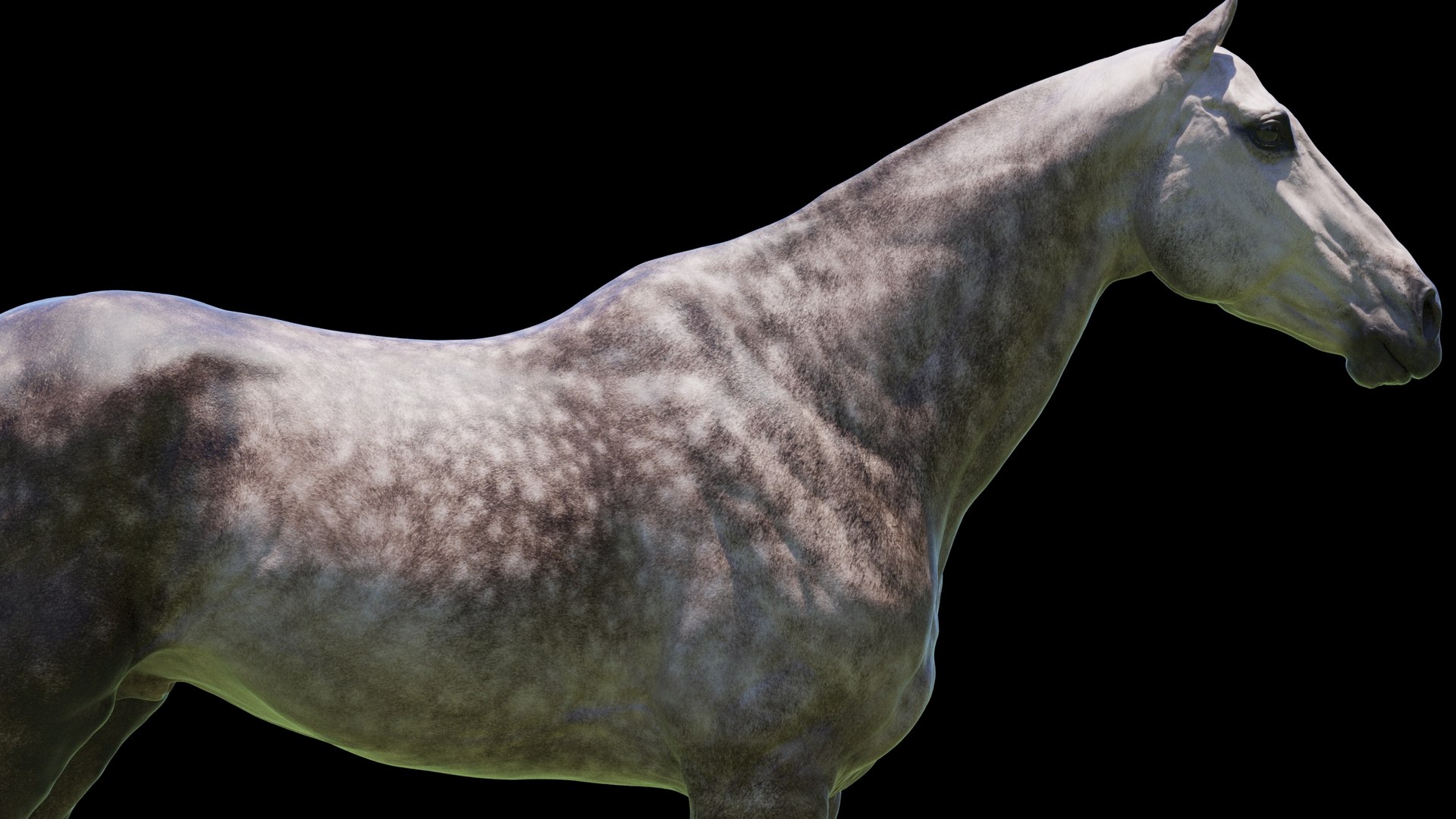 Horse 3 colors ZBrush model https://p.turbosquid.com/ts-thumb/8Z/1pxsgu/ra/q18/jpg/1655411686/1920x1080/fit_q87/5b1223b60b39ba75a6ea2f7357001579dd55f869/q18.jpg