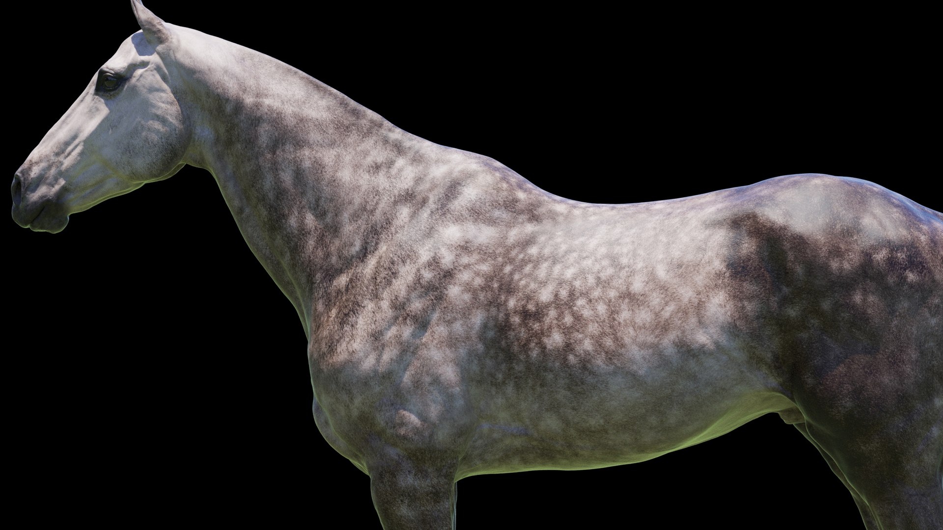 Horse 3 colors ZBrush model https://p.turbosquid.com/ts-thumb/8Z/1pxsgu/tY/q5_1/jpg/1655411676/1920x1080/fit_q87/069224e4c8b5e93a202cb897f297c46d1e050367/q5_1.jpg