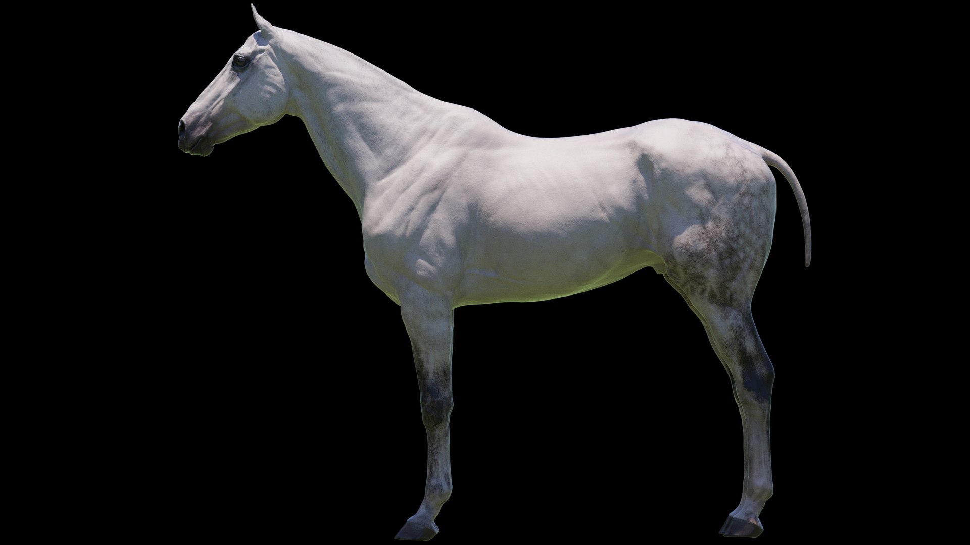 Horse 3 colors ZBrush model https://p.turbosquid.com/ts-thumb/8Z/1pxsgu/uK/w7/jpg/1655411782/1920x1080/fit_q87/0ebcd059f4e31b3cd4f75ddd5a23d5a69ea345cc/w7.jpg