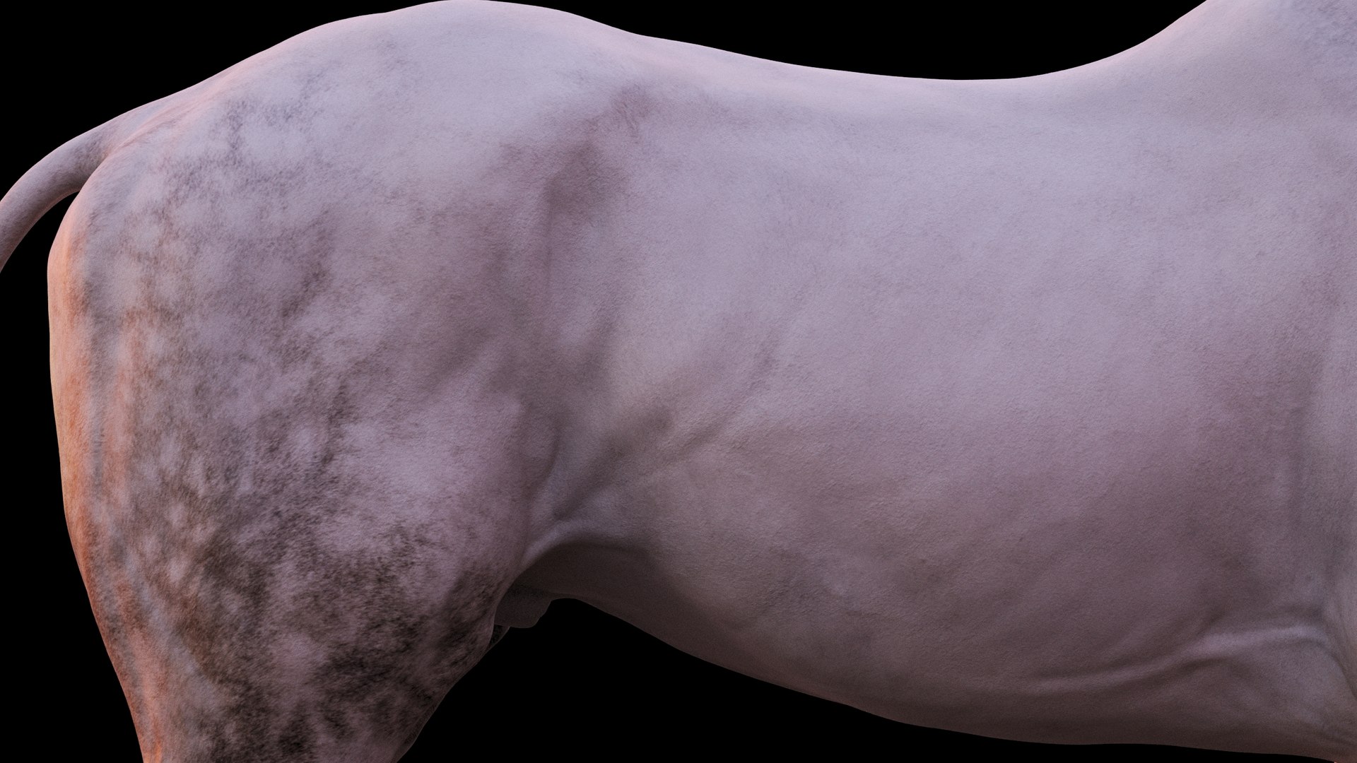 Horse 3 colors ZBrush model https://p.turbosquid.com/ts-thumb/8Z/1pxsgu/ut/1112/jpg/1655411829/1920x1080/fit_q87/ef5dc2a1a9ab04f78304a9d99fc917540befa719/1112.jpg