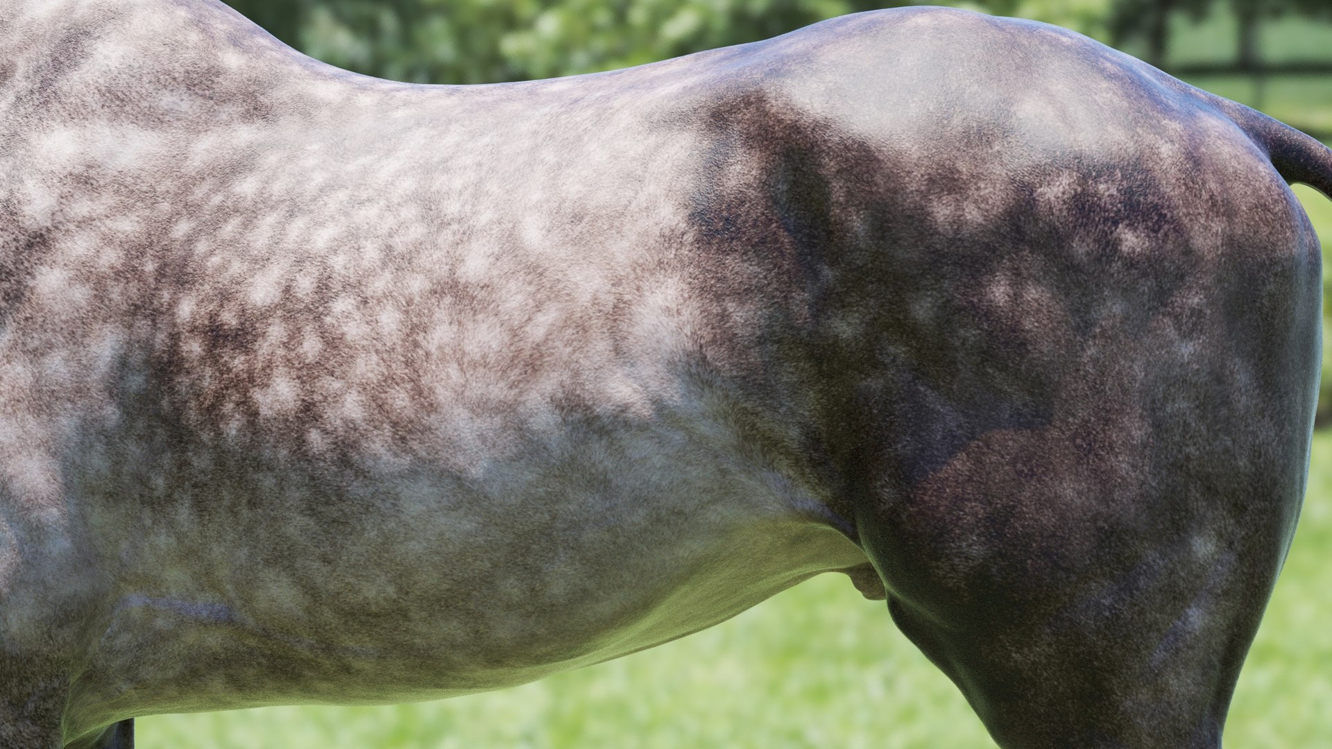 Horse 3 colors ZBrush model https://p.turbosquid.com/ts-thumb/8Z/1pxsgu/vI/q8/jpg/1655411678/1920x1080/fit_q87/3b23de19577e68c326e6f16081ad340cb1c3c4c3/q8.jpg