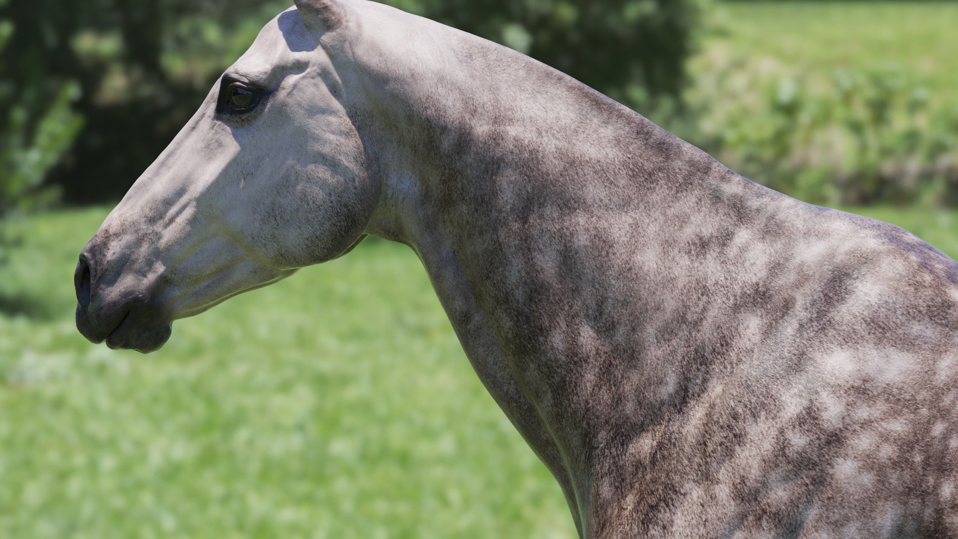 Horse 3 colors ZBrush model https://p.turbosquid.com/ts-thumb/8Z/1pxsgu/x8/q3/jpg/1655411653/1920x1080/fit_q87/6098f17c093b70fc0228d89b35921761df68e99f/q3.jpg