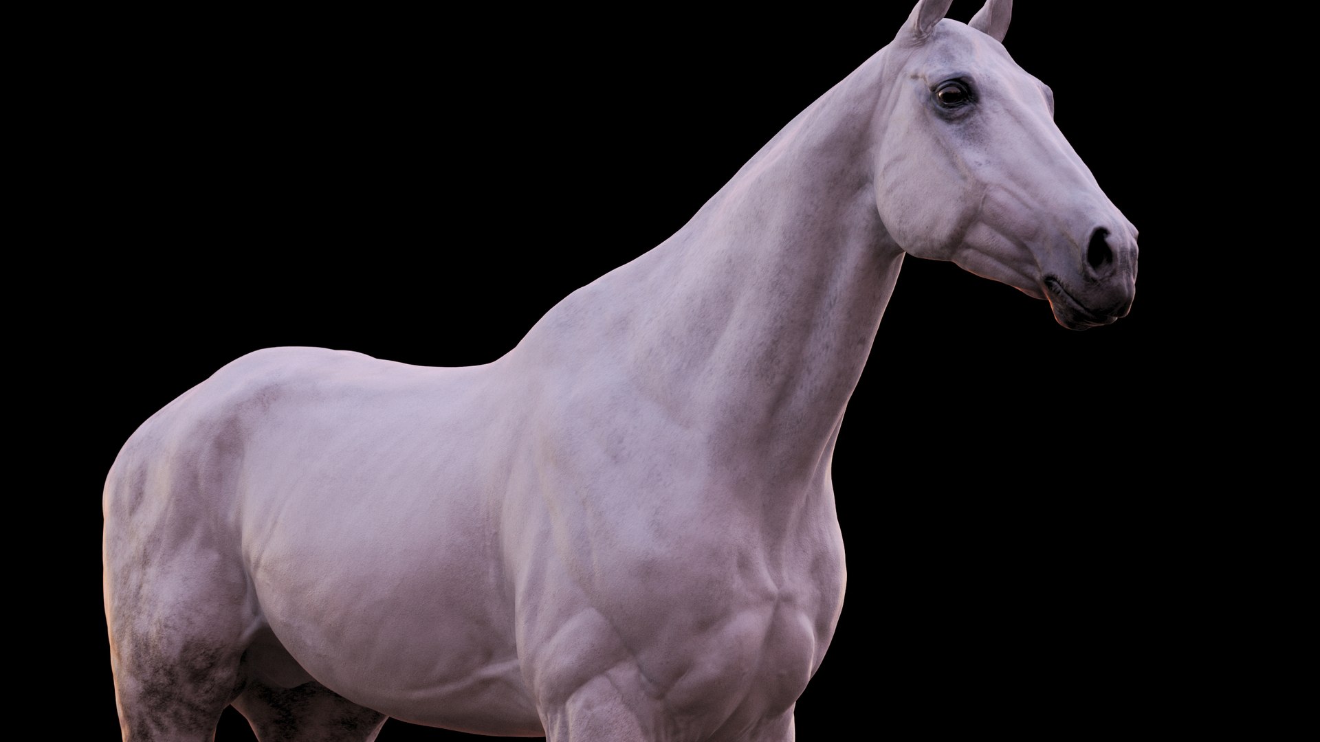 Horse 3 colors ZBrush model https://p.turbosquid.com/ts-thumb/8Z/1pxsgu/xn/117/jpg/1655411826/1920x1080/fit_q87/afe7062f02549953618cf19d5ce4aa5482c4eb90/117.jpg