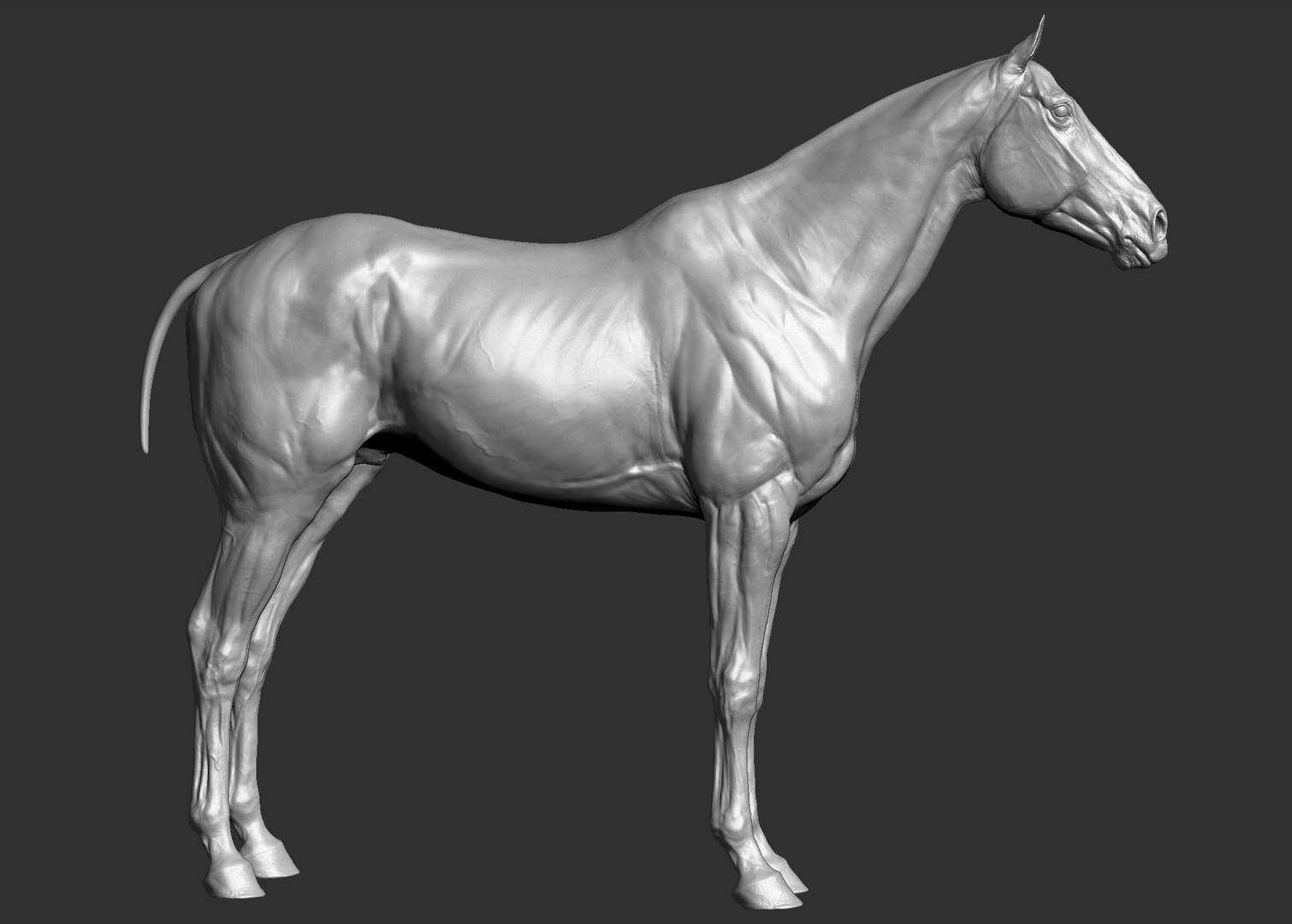 Horse 3 colors ZBrush model https://p.turbosquid.com/ts-thumb/8Z/1pxsgu/yp/1.jpg7d42ec95acff4f089656572bd92d7a90zoom/jpg/1655411619/1920x1080/fit_q87/6c14f674bf4861ffd26d7d2866cc04d649e9359a/1.jpg7d42ec95acff4f089656572bd92d7a90zoom.jpg