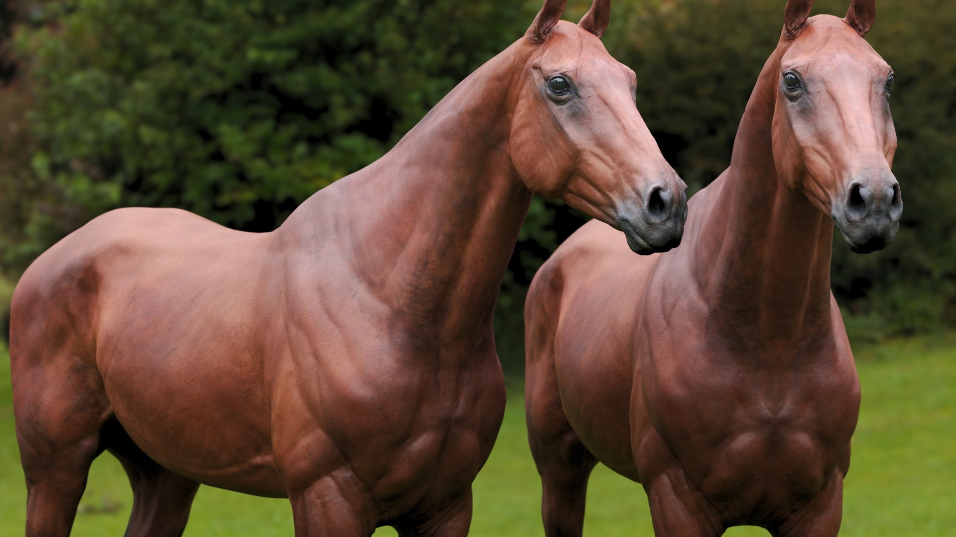 Horse 3 colors ZBrush model https://p.turbosquid.com/ts-thumb/8Z/1pxsgu/z7/d22/jpg/1655411401/1920x1080/fit_q87/b3dbbf420aef994af78efd062801a3416390a5c3/d22.jpg