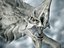 Dragon2 - Realista