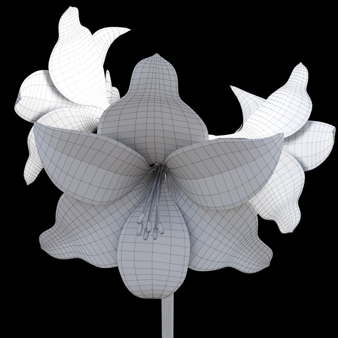 hippeastrum flowers 3D model https://p.turbosquid.com/ts-thumb/8Z/BJxInE/0yUSbwgu/wire1/jpg/1492592104/1920x1080/fit_q87/84bf5895025aa5688b539678dd6177d90a7a4069/wire1.jpg