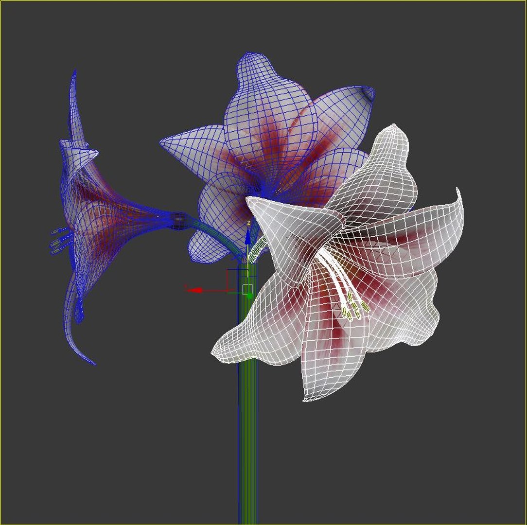 hippeastrum flowers 3D model https://p.turbosquid.com/ts-thumb/8Z/BJxInE/lgngRC7F/viewport1/jpg/1492592103/1920x1080/fit_q87/e94d5eda046398b9ee966cbd43e1cb7258154482/viewport1.jpg