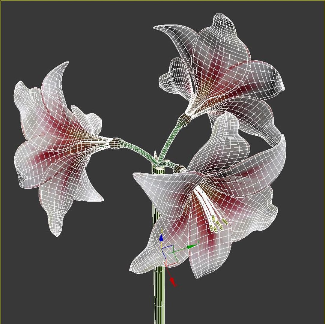 hippeastrum flowers 3D model https://p.turbosquid.com/ts-thumb/8Z/BJxInE/n6Ylse6S/viewport2/jpg/1492592103/1920x1080/fit_q87/a43cb6972f24cb42e3382d1dc15fb02ee2818094/viewport2.jpg