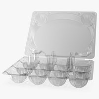 Empty Plastic Egg Box 3D Model