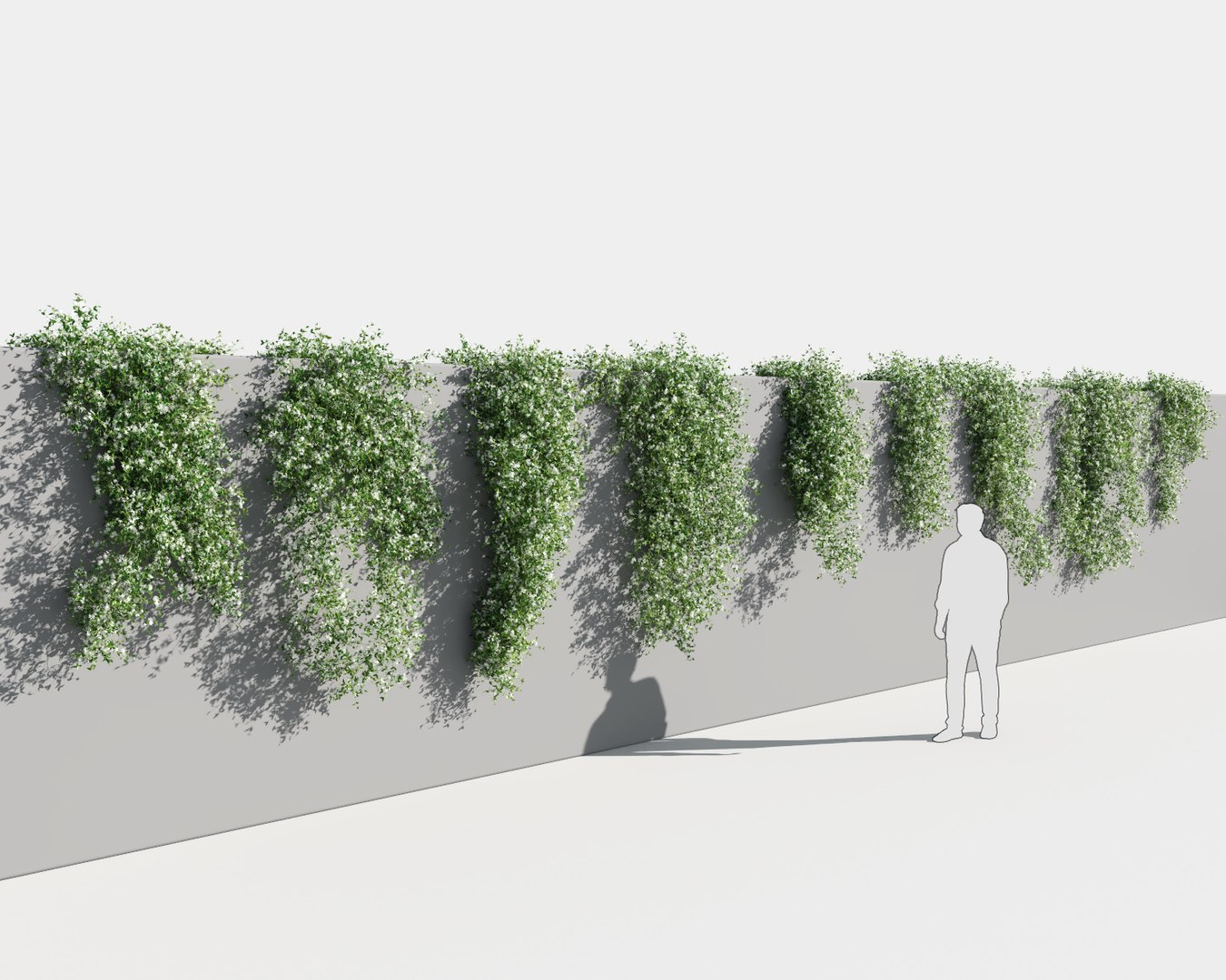 creeper plants 5: star 3D model https://p.turbosquid.com/ts-thumb/8Z/PbdT0C/9CPyI3h9/jasmine_st3/jpg/1569513795/1920x1080/fit_q87/addfb5eaecdc58573f209b51bbdf7bd3e1c018c4/jasmine_st3.jpg