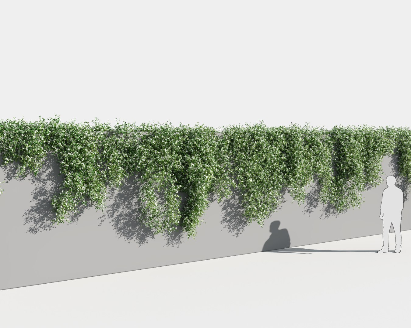 creeper plants 5: star 3D model https://p.turbosquid.com/ts-thumb/8Z/PbdT0C/IWViznvK/jasmine_st4/jpg/1569513795/1920x1080/fit_q87/6ef877cdd2c43e63bfc34b0bcf292af6a0507888/jasmine_st4.jpg