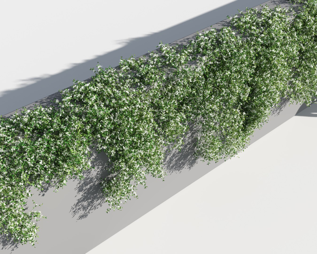 creeper plants 5: star 3D model https://p.turbosquid.com/ts-thumb/8Z/PbdT0C/QjXkl7tD/jasmine_st6/jpg/1569513796/1920x1080/fit_q87/577378972c44bead1a52559a906d090e67c085a3/jasmine_st6.jpg