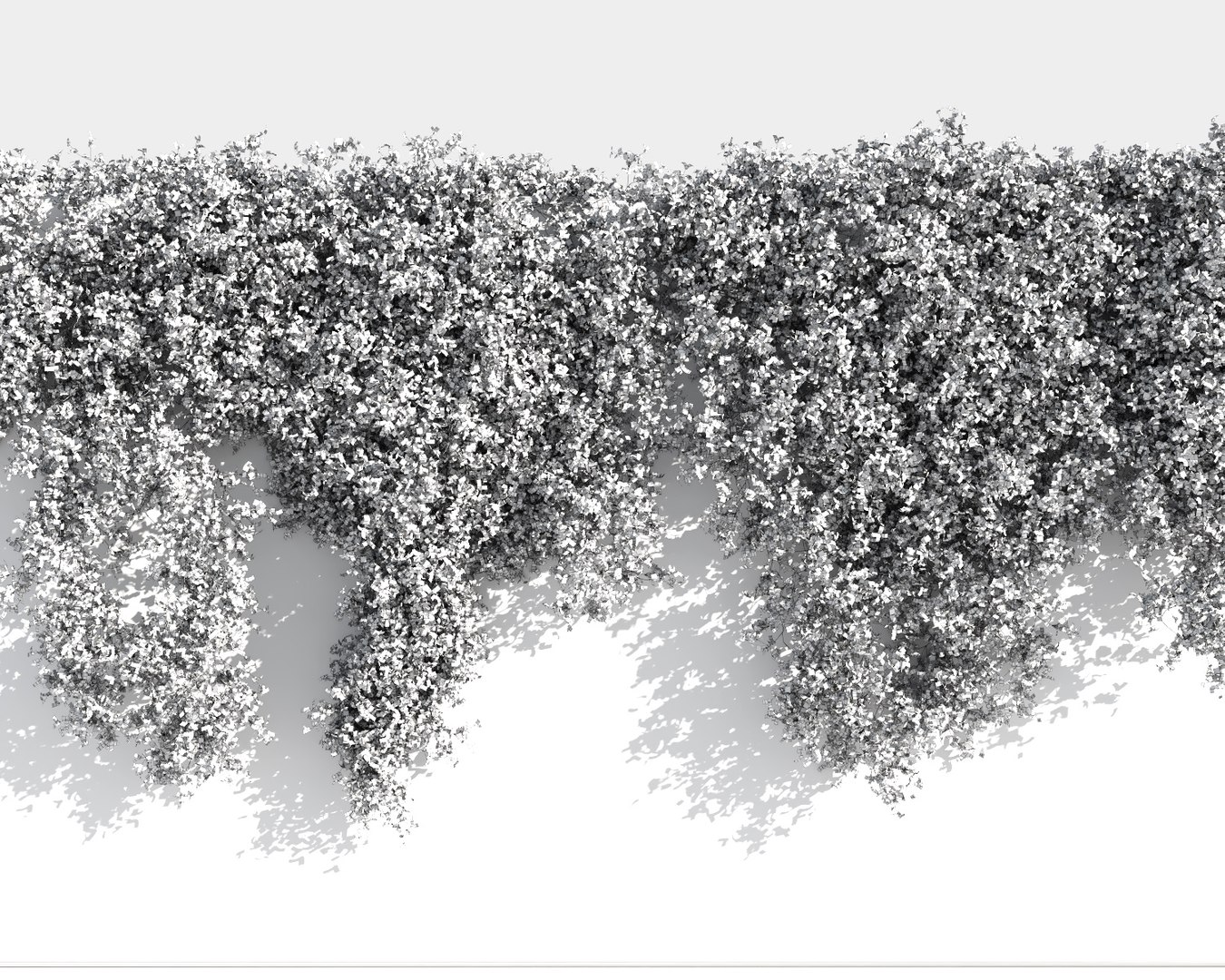 creeper plants 5: star 3D model https://p.turbosquid.com/ts-thumb/8Z/PbdT0C/QoqAH7bG/jasmine_st9/jpg/1569516327/1920x1080/fit_q87/50896fbd78f6339ff107ae54fbe208d0686678a9/jasmine_st9.jpg