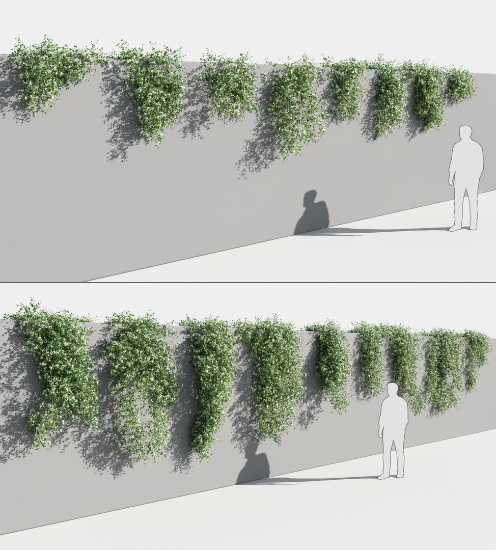 creeper plants 5: star 3D model https://p.turbosquid.com/ts-thumb/8Z/PbdT0C/cX1s3WuC/jasmine_st1/jpg/1569513795/1920x1080/fit_q87/2cd11810560219f5c709c273b82f41e174408606/jasmine_st1.jpg