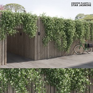 Star Jasmine (+GrowFX)