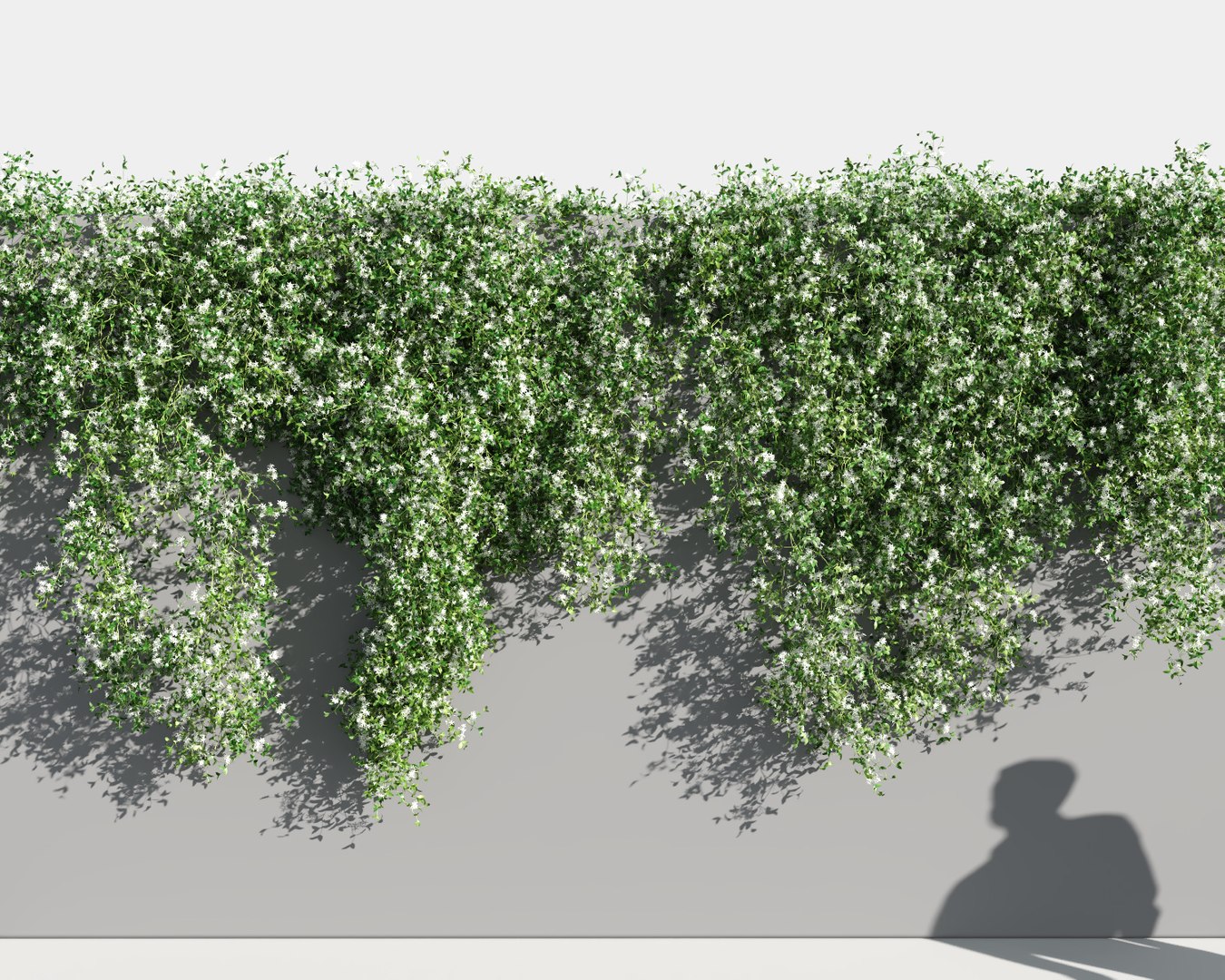 creeper plants 5: star 3D model https://p.turbosquid.com/ts-thumb/8Z/PbdT0C/iyTlpBu9/jasmine_st5/jpg/1569513795/1920x1080/fit_q87/dcd4077ee271b5c597b66665a571f2611c722859/jasmine_st5.jpg