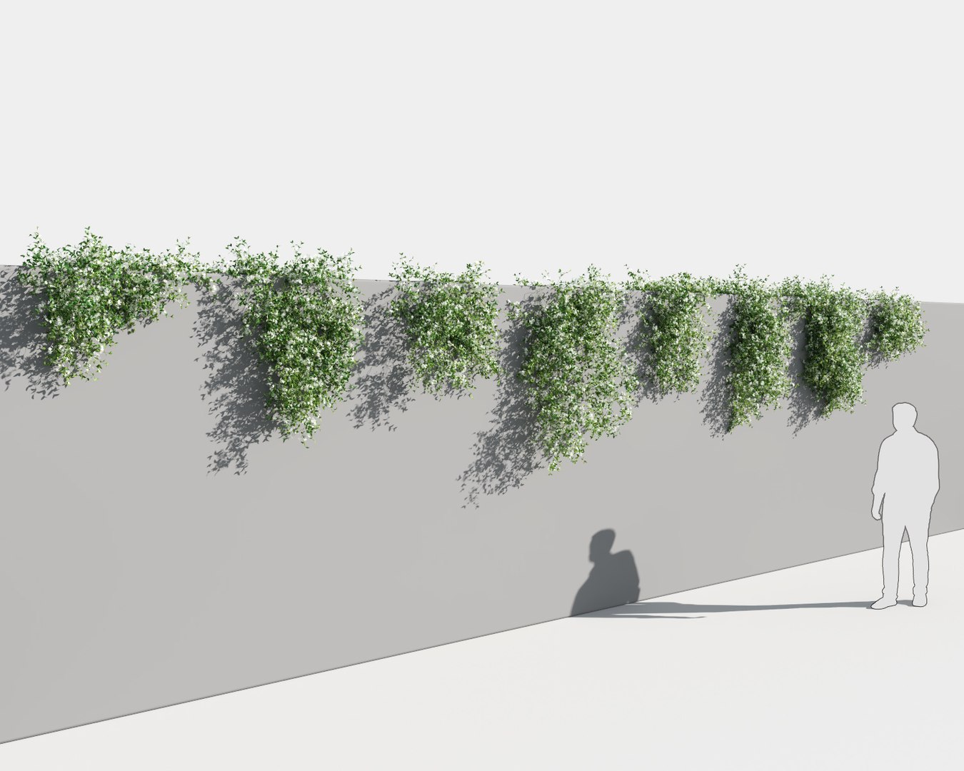 creeper plants 5: star 3D model https://p.turbosquid.com/ts-thumb/8Z/PbdT0C/qcvyisy6/jasmine_st2/jpg/1569513795/1920x1080/fit_q87/ca6ac962c3cb5226c11a5c3682e69175517bc198/jasmine_st2.jpg